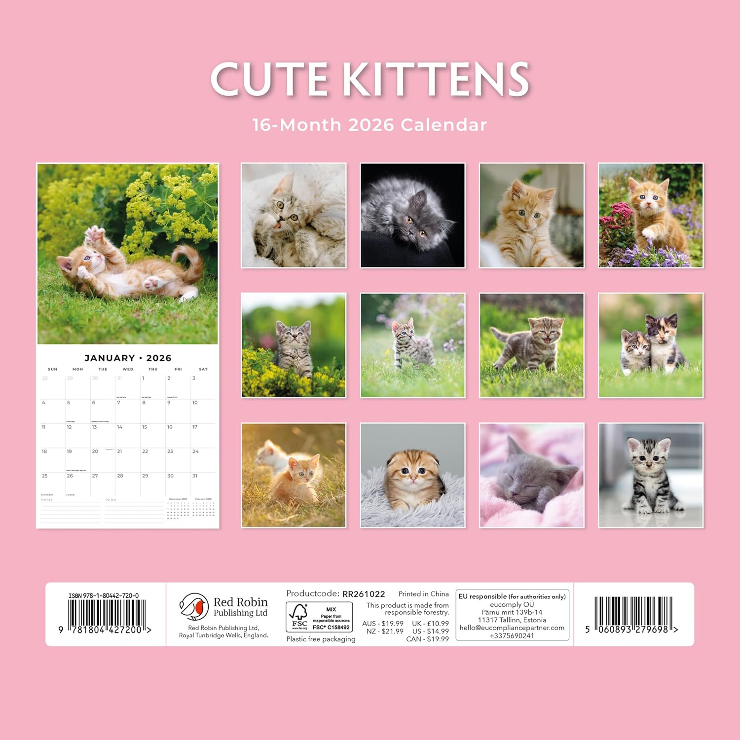 Red Robin 2026 Cute Kittens Monthly Wall Calendar | 12" x 24" Open | Premium Thick & Sturdy Paper | Hangable 12 Month Calendar | Lined Notes & To Do Area | Vivid Images | Plastic Free
