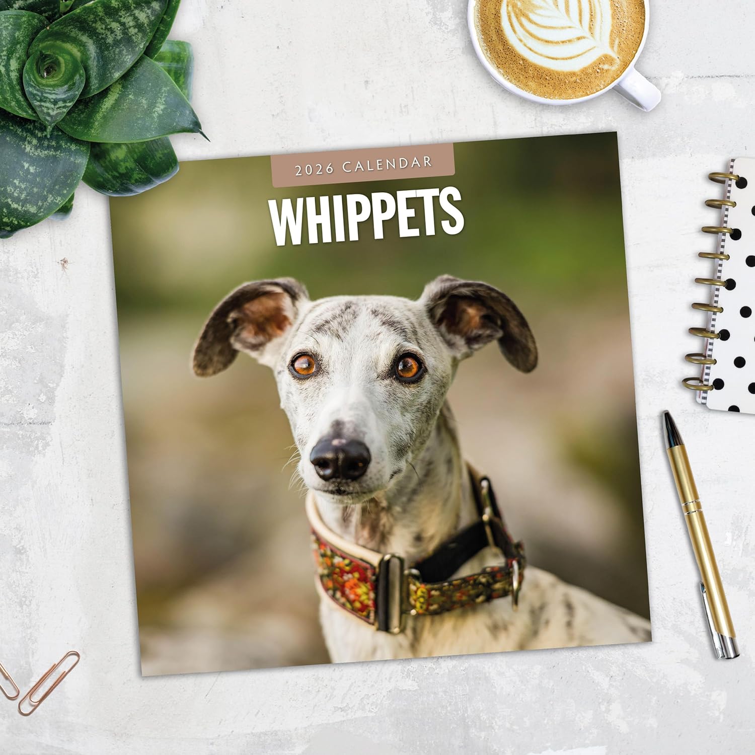 Red Robin 2026 Whippets Monthly Wall Calendar | 12" x 24" Open | Premium Thick & Sturdy Paper | Hangable 12 Month Calendar | Lined Notes & To Do Area | Vivid Images | Plastic Free