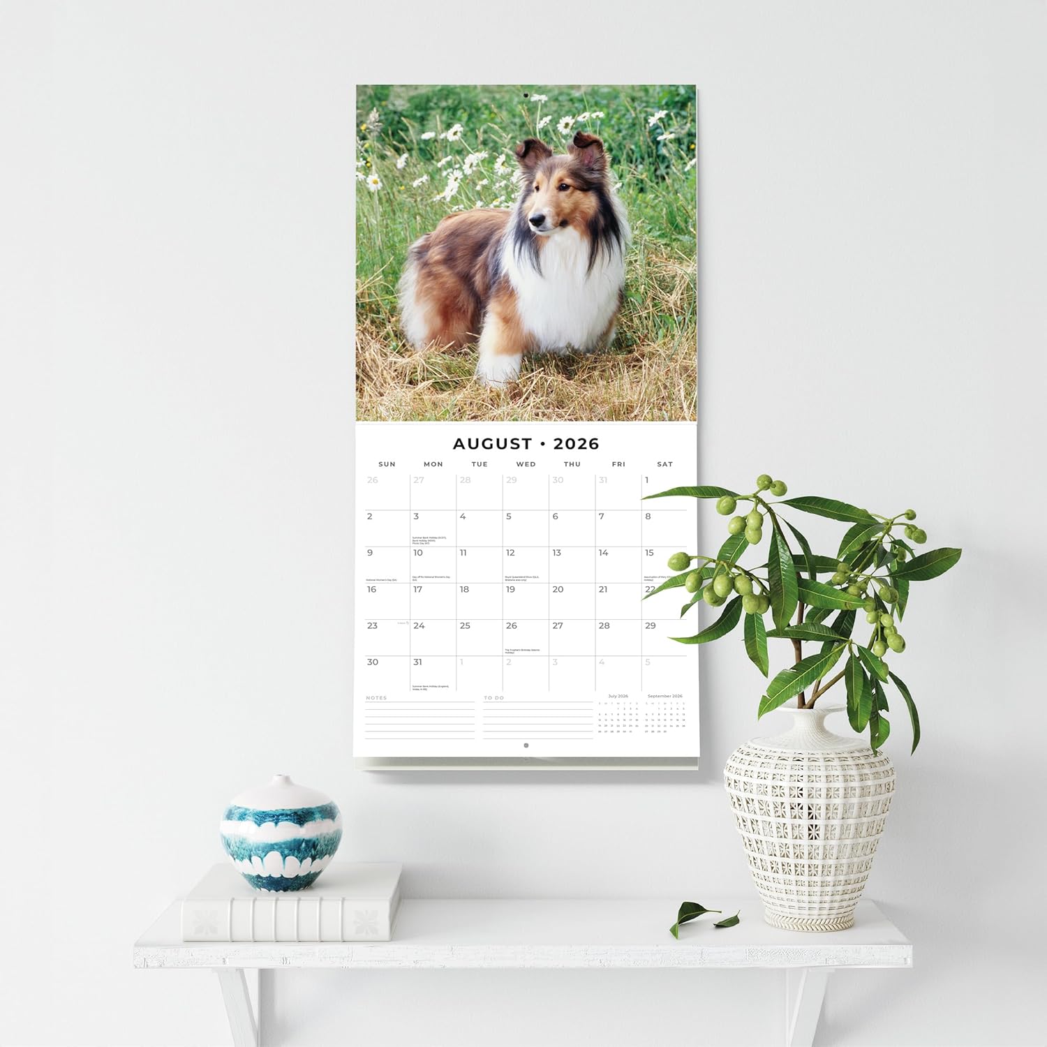 Red Robin 2026 Shetland Sheepdogs Monthly Wall Calendar | 12" x 24" Open | Premium Thick & Sturdy Paper | Hangable 12 Month Calendar | Lined Notes & To Do Area | Vivid Images | Plastic Free