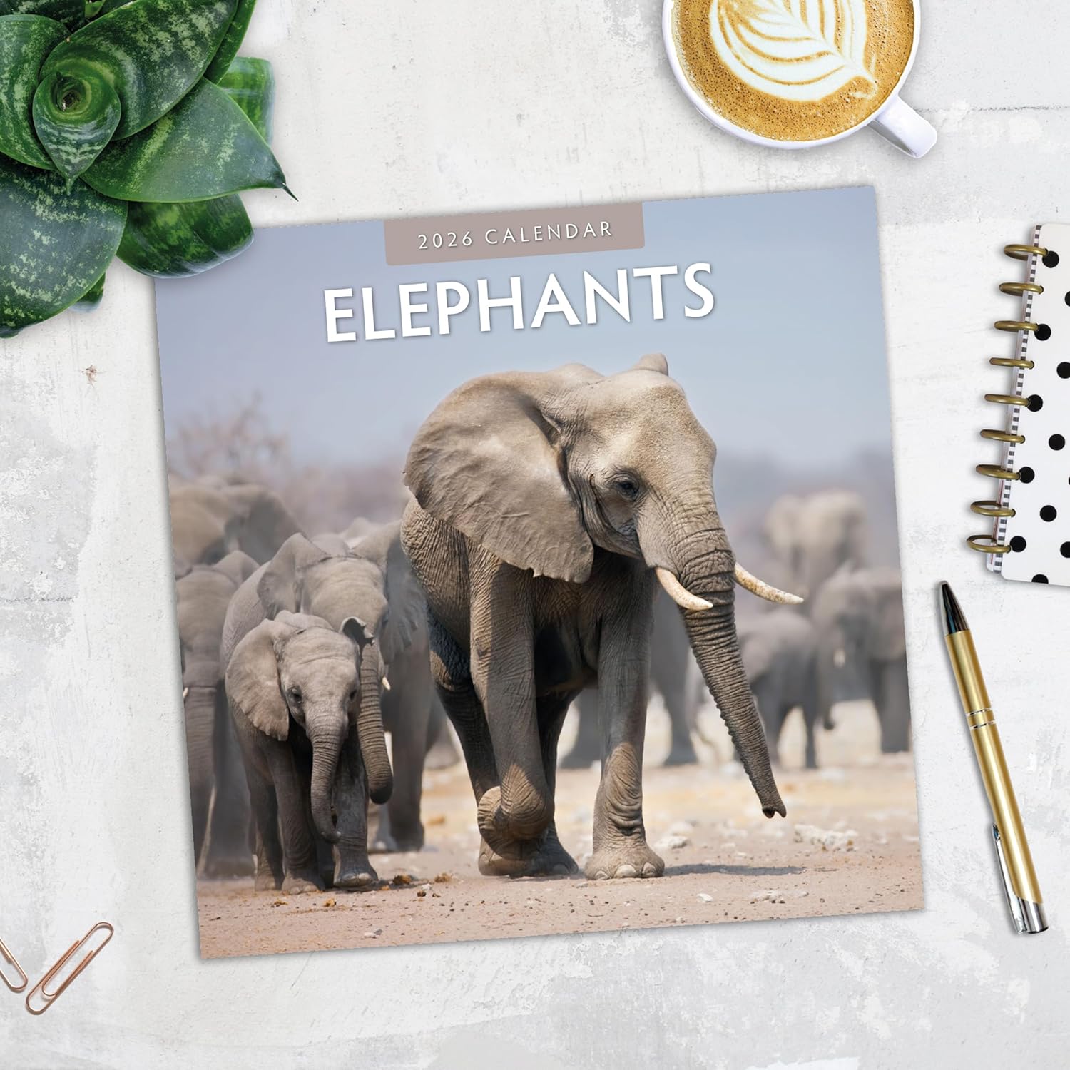 Red Robin 2026 Elephants Monthly Wall Calendar | 12" x 24" Open | Premium Thick & Sturdy Paper | Hangable 12 Month Calendar | Lined Notes & To Do Area | Vivid Images | Plastic Free