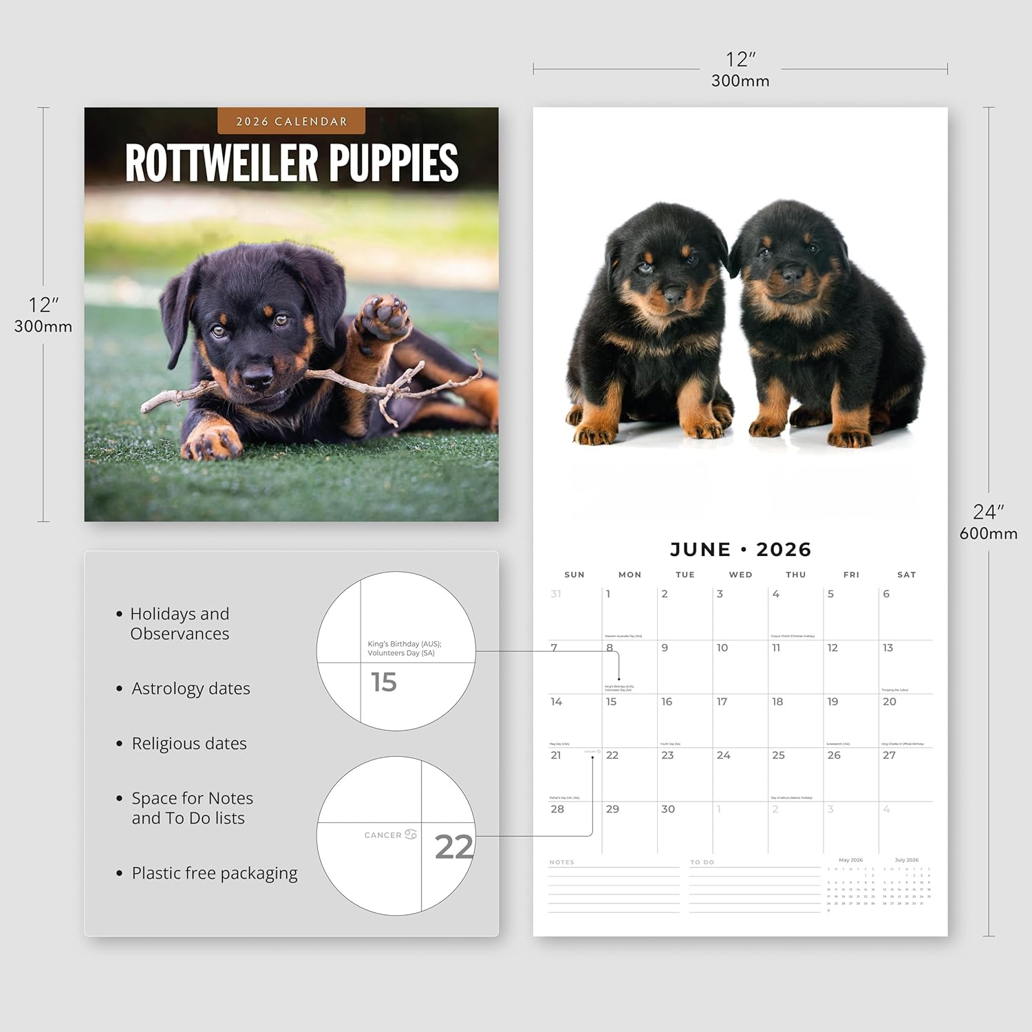 Red Robin 2026 Rottweiler Puppies Monthly Wall Calendar | 12" x 24" Open | Premium Thick & Sturdy Paper | Hangable 12 Month Calendar | Lined Notes & To Do Area | Vivid Images | Plastic Free
