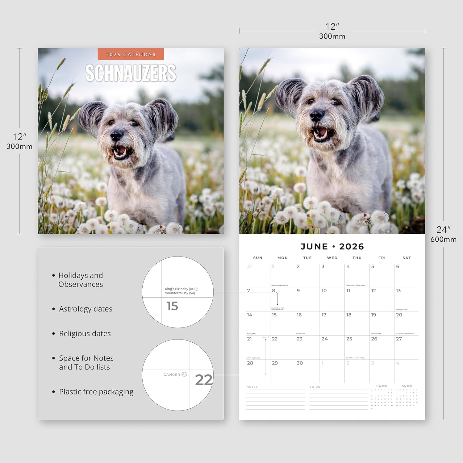 Red Robin 2026 Schnauzers Monthly Wall Calendar | 12" x 24" Open | Premium Thick & Sturdy Paper | Hangable 12 Month Calendar | Lined Notes & To Do Area | Vivid Images | Plastic Free