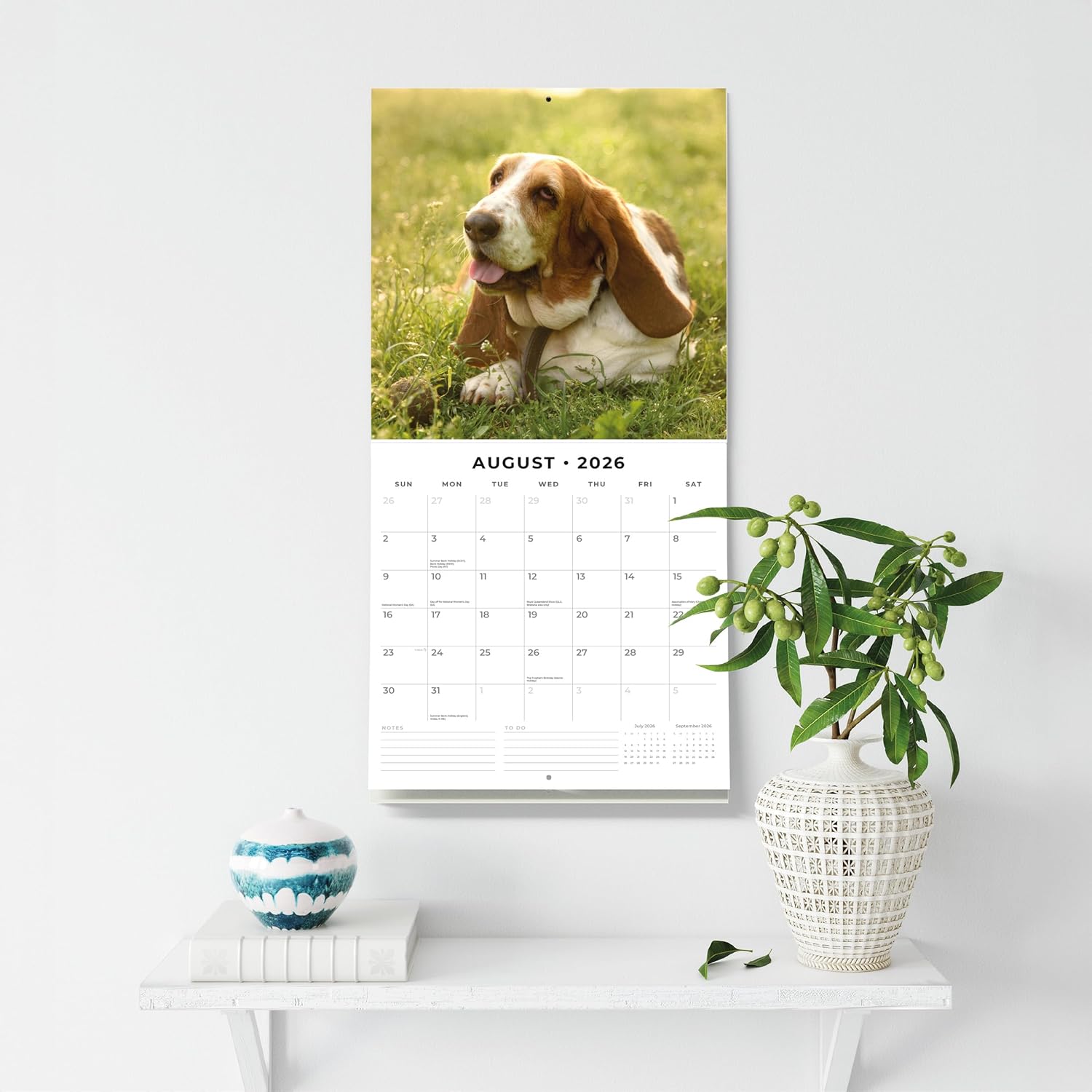 Red Robin 2026 Basset Hounds Monthly Wall Calendar | 12" x 24" Open | Premium Thick & Sturdy Paper | Hangable 12 Month Calendar | Lined Notes & To Do Area | Vivid Images | Plastic Free