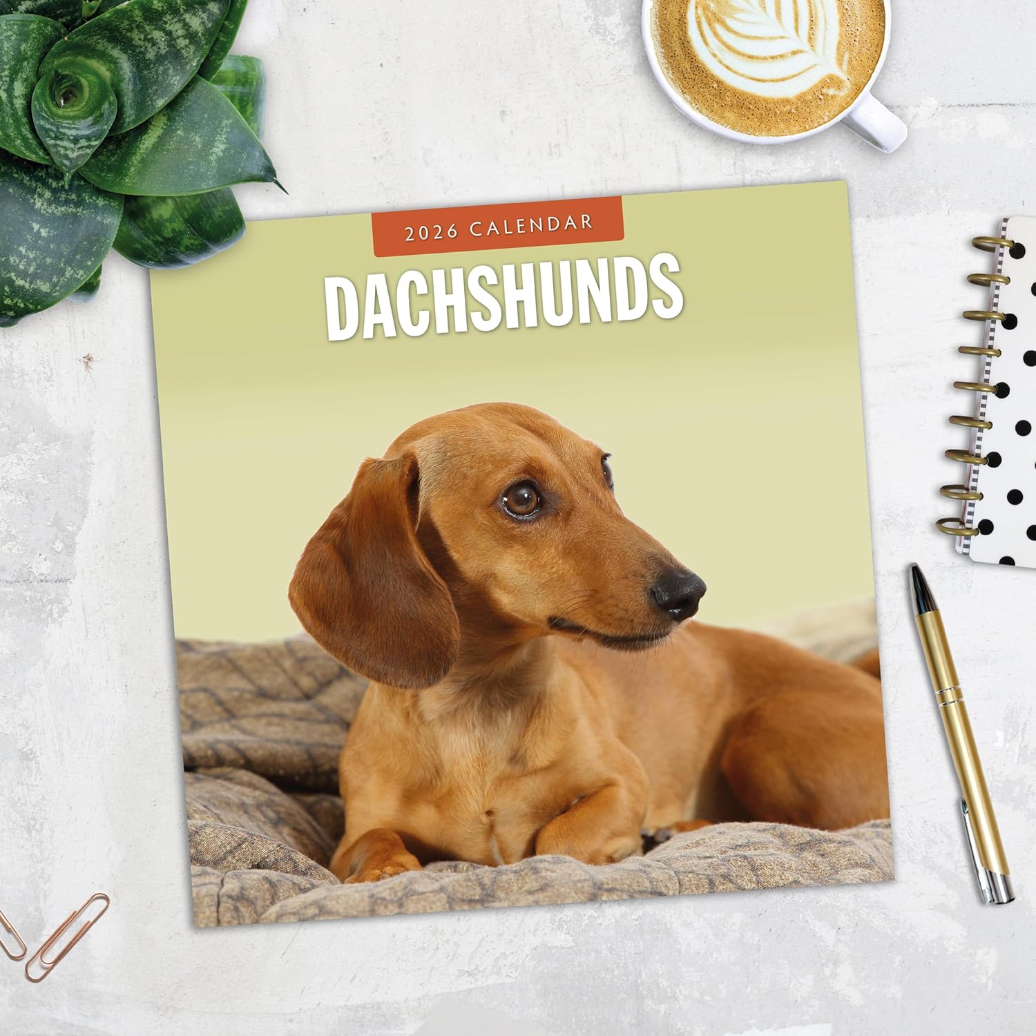 Red Robin 2026 Dachshunds Monthly Wall Calendar | 12" x 24" Open | Premium Thick & Sturdy Paper | Hangable 12 Month Calendar | Lined Notes & To Do Area | Vivid Images | Plastic Free
