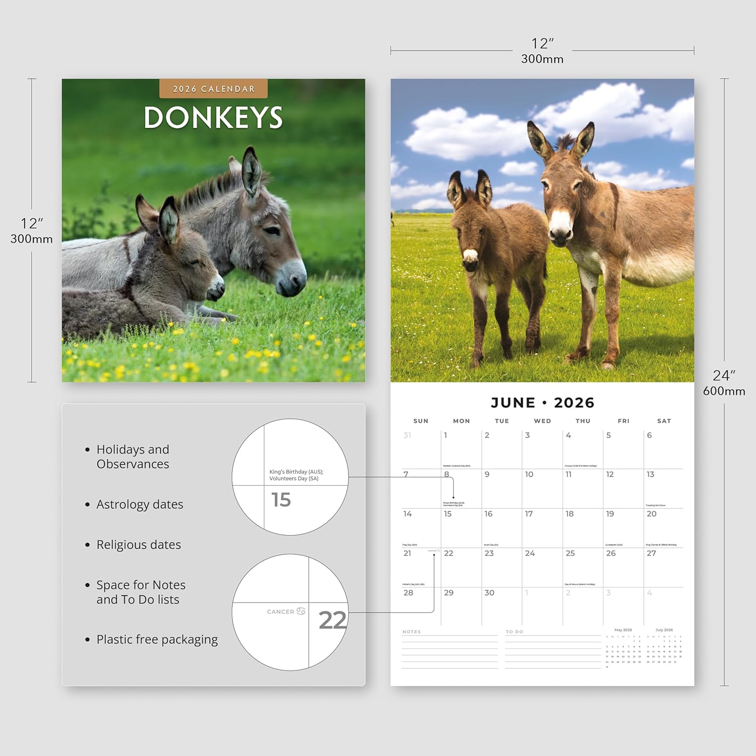 Red Robin 2026 Donkeys Monthly Wall Calendar | 12" x 24" Open | Premium Thick & Sturdy Paper | Hangable 12 Month Calendar | Lined Notes & To Do Area | Vivid Images | Plastic Free