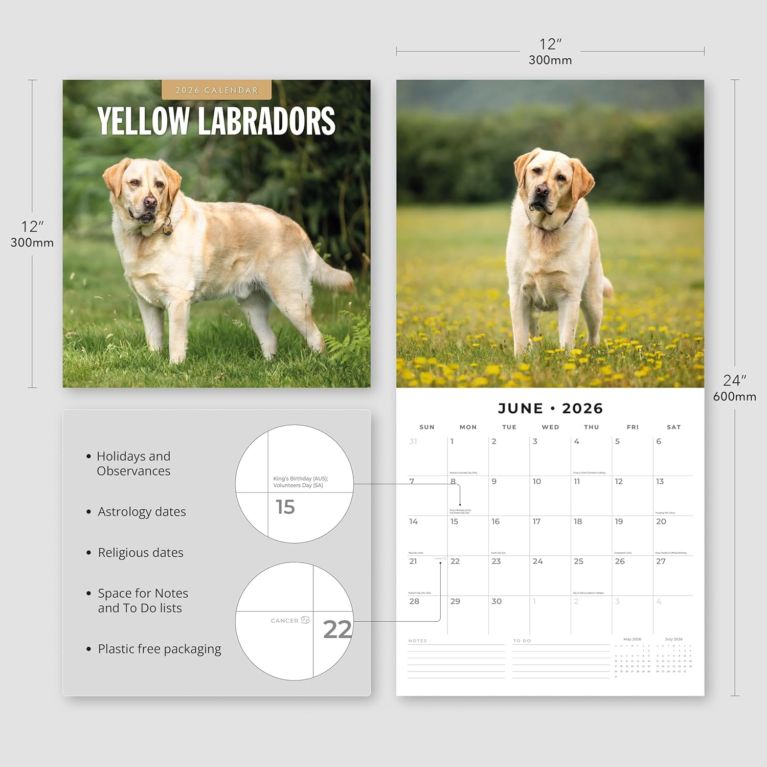 Red Robin 2026 Yellow Labrador Retriever Puppies Monthly Wall Calendar | 12" x 24" Open | Premium Thick & Sturdy Paper | Hangable 12 Month Calendar | Lined Notes & To Do Area | Plastic Free