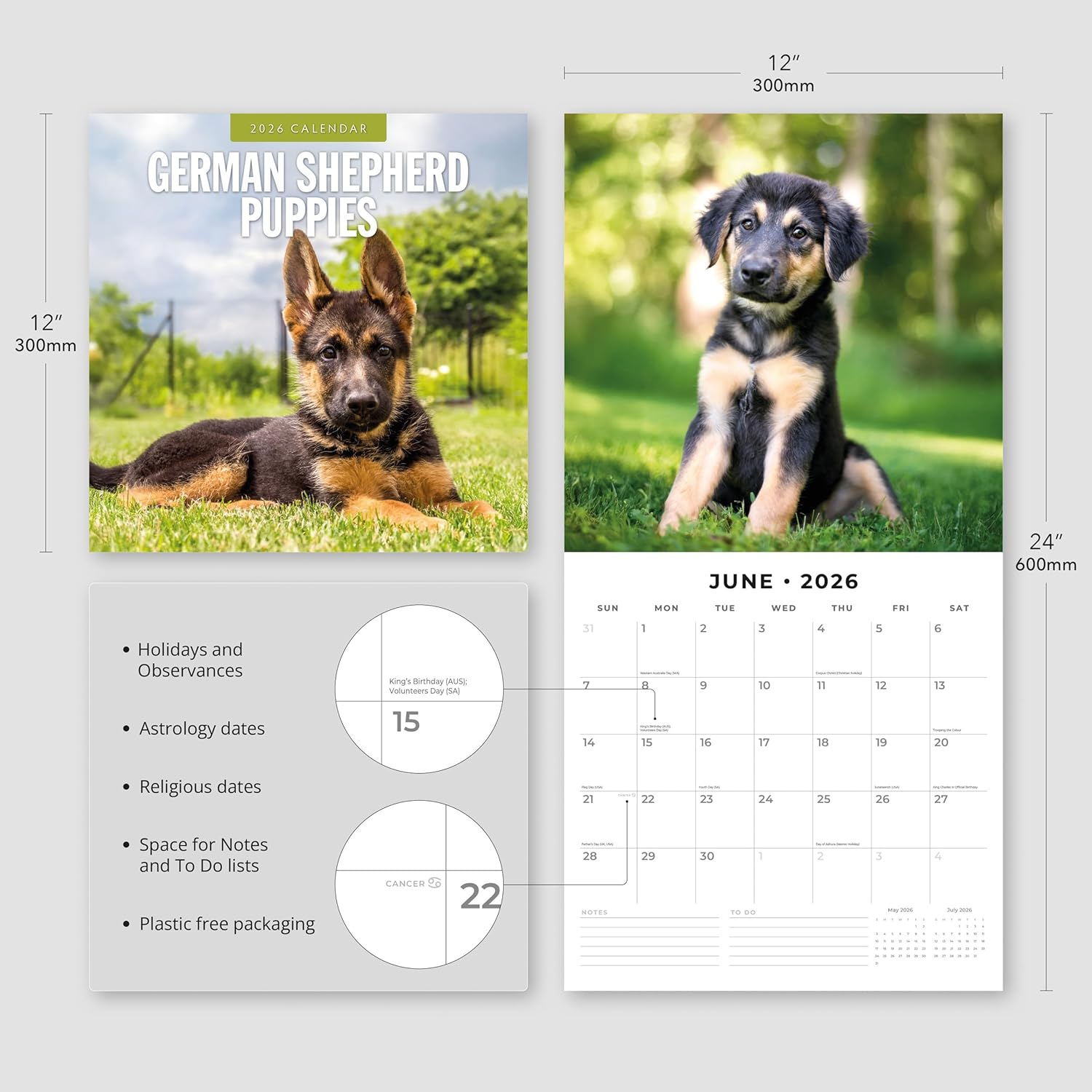 Red Robin 2026 German Shepherd Puppies Monthly Wall Calendar | 12" x 24" Open | Premium Thick & Sturdy Paper | Hangable 12 Month Calendar | Lined Notes & To Do Area | Vivid Images | Plastic Free