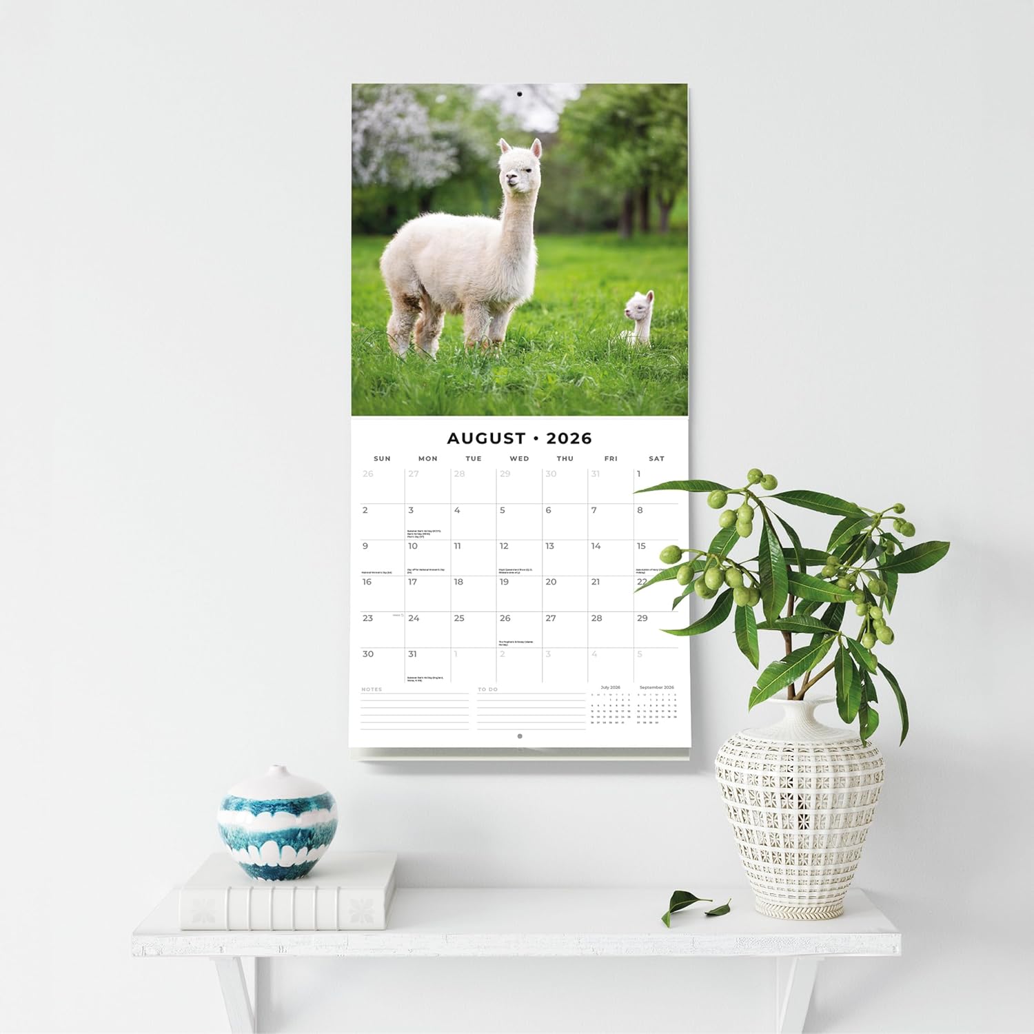 Alpacas - 2026 Square Wall Calendar - by Red Robin Publishing