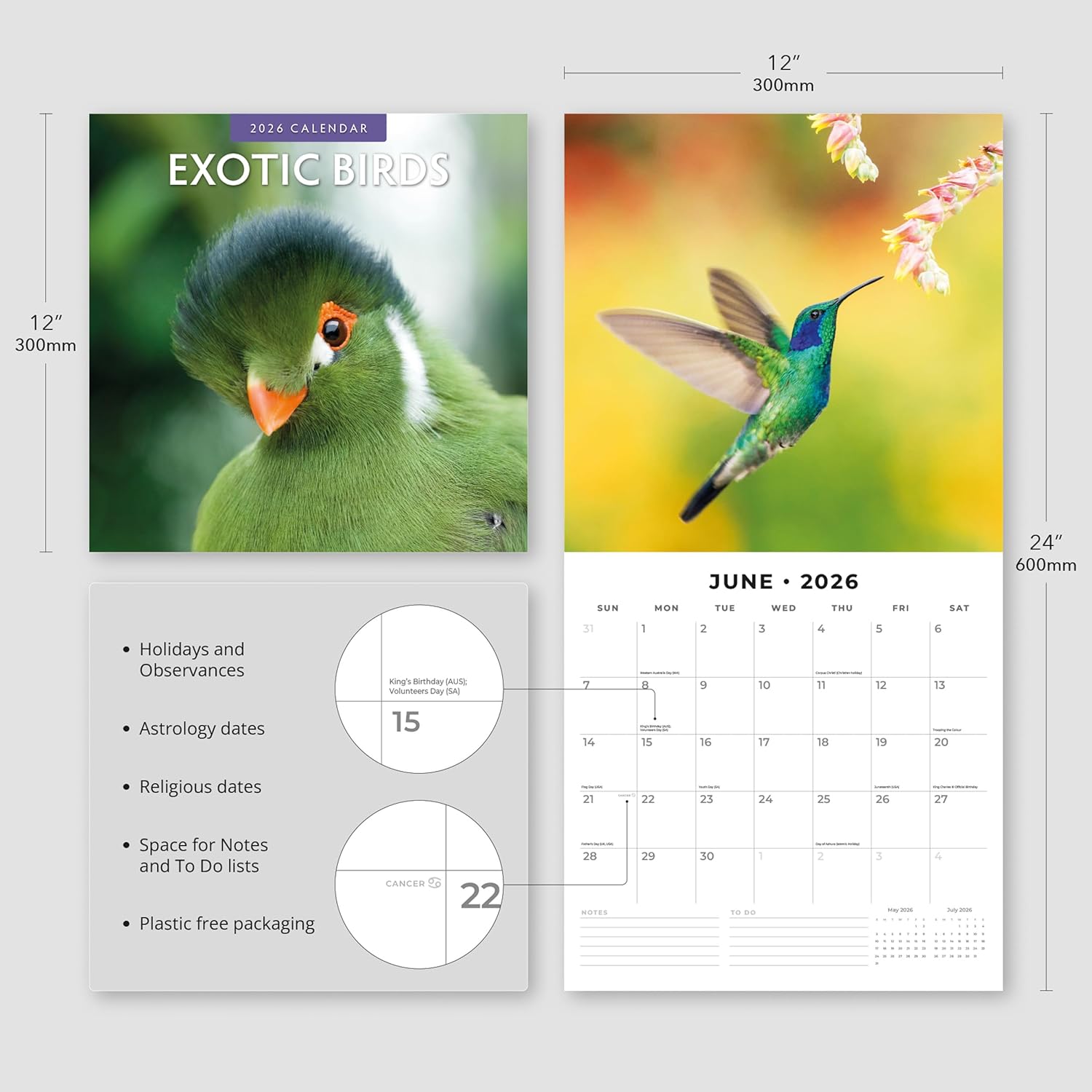 Red Robin 2026 Exotic Birds Monthly Wall Calendar | 12" x 24" Open | Premium Thick & Sturdy Paper | Hangable 12 Month Calendar | Lined Notes & To Do Area | Vivid Images | Plastic Free