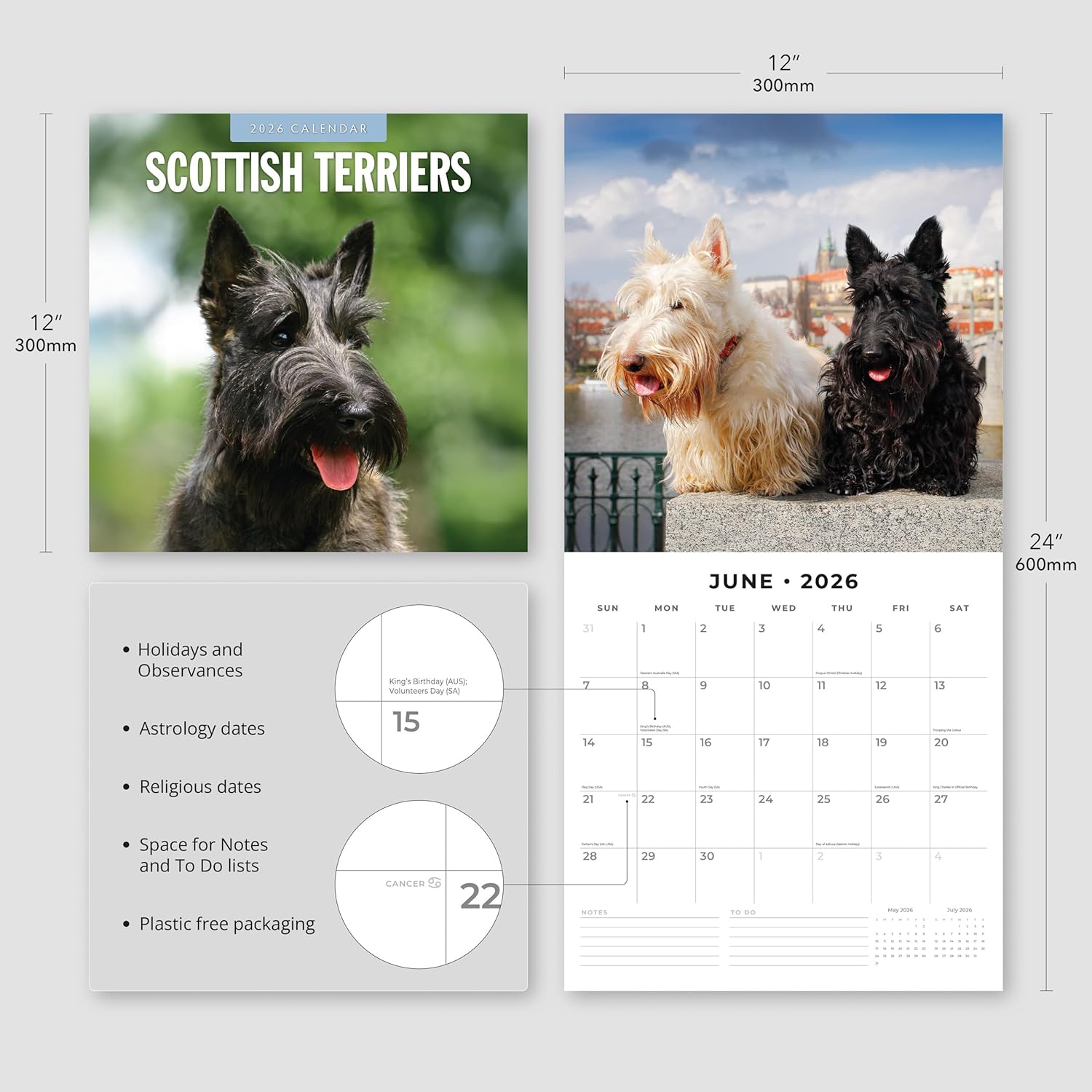 Red Robin 2026 Scottish Terriers Monthly Wall Calendar | 12" x 24" Open | Premium Thick & Sturdy Paper | Hangable 12 Month Calendar | Lined Notes & To Do Area | Vivid Images | Plastic Free