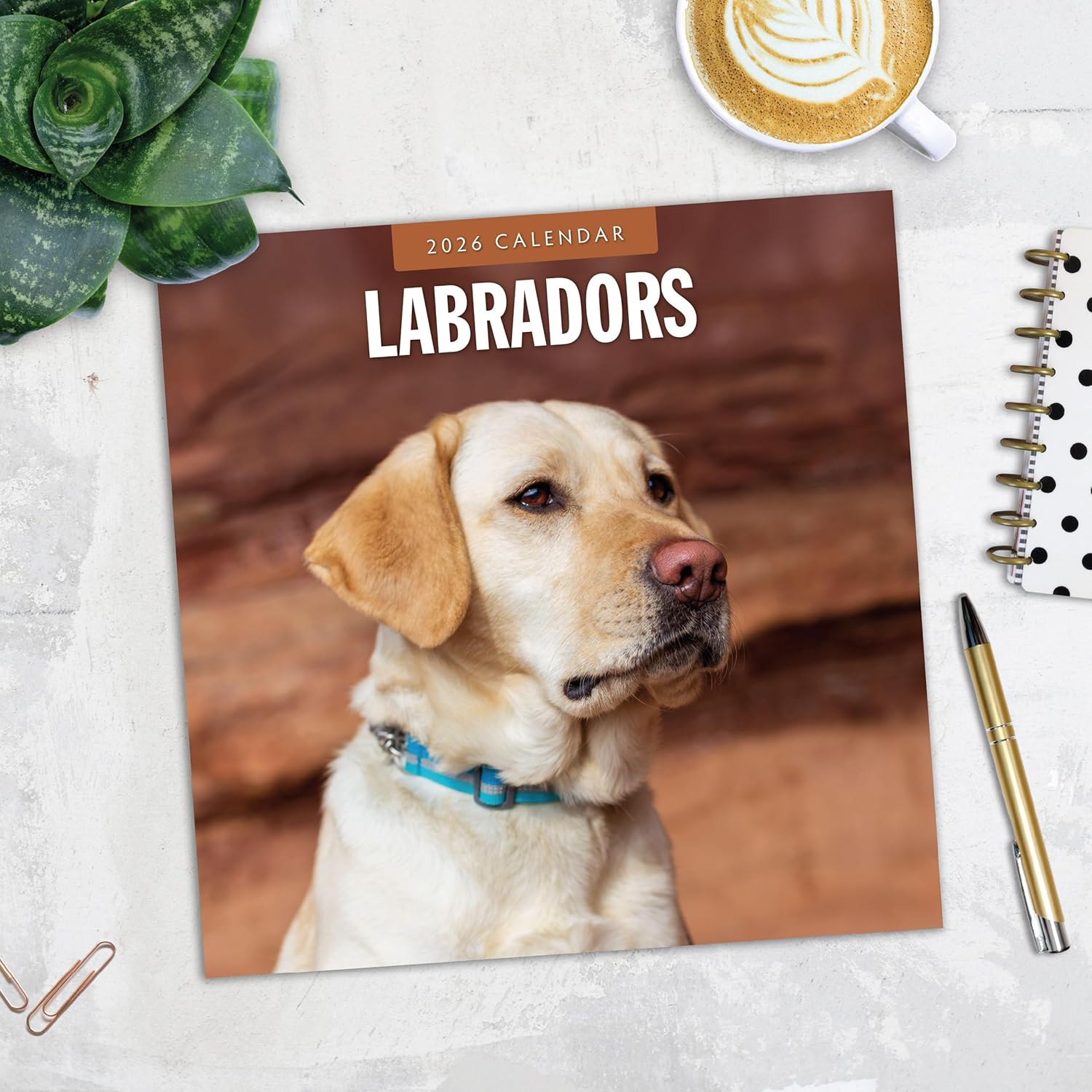 Red Robin 2026 Labradors Monthly Wall Calendar | 12" x 24" Open | Premium Thick & Sturdy Paper | Hangable 12 Month Calendar | Lined Notes & To Do Area | Vivid Images | Plastic Free