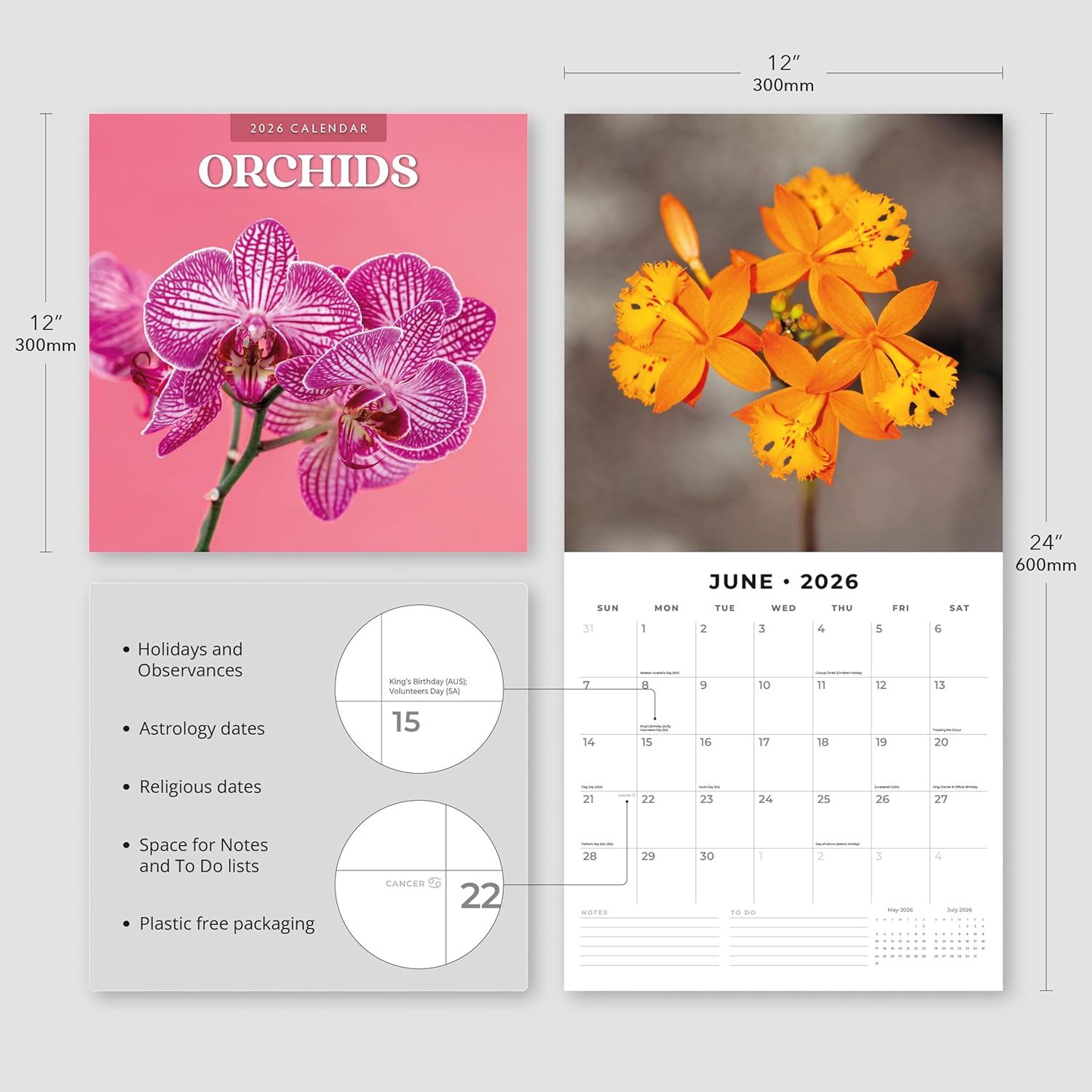 Red Robin 2026 Orchids Monthly Wall Calendar | 12" x 24" Open | Premium Thick & Sturdy Paper | Hangable 12 Month Calendar | Lined Notes & To Do Area | Vivid Images | Plastic Free