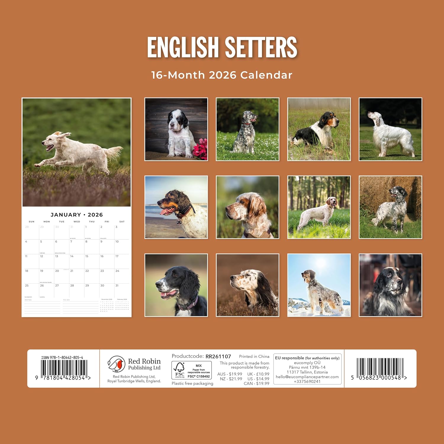 Red Robin 2026 English Setters Monthly Wall Calendar | 12" x 24" Open | Premium Thick & Sturdy Paper | Hangable 12 Month Calendar | Lined Notes & To Do Area | Vivid Images | Plastic Free