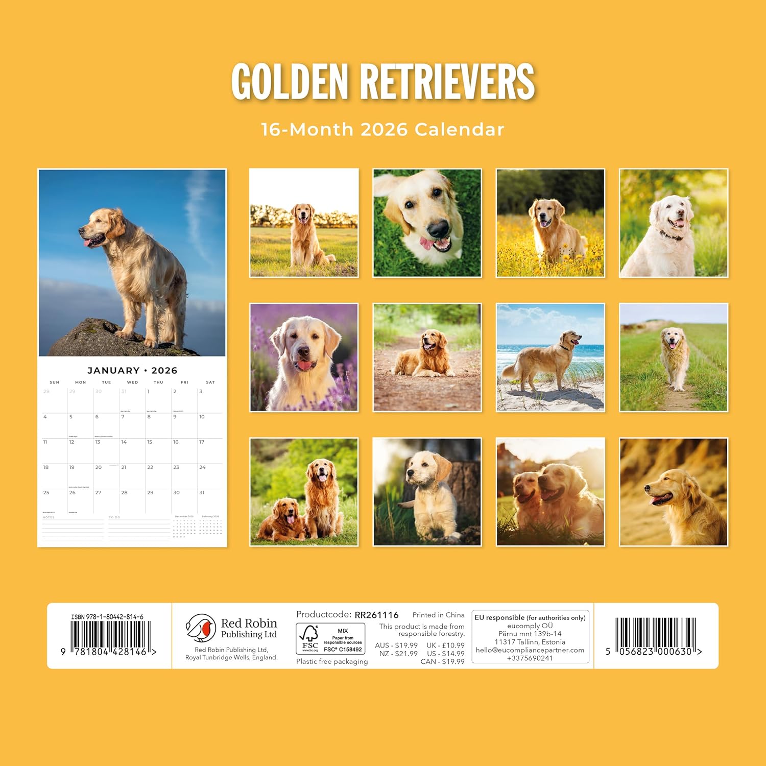 Red Robin 2026 Golden Retrievers Monthly Wall Calendar | 12" x 24" Open | Premium Thick & Sturdy Paper | Hangable 12 Month Calendar | Lined Notes & To Do Area | Vivid Images | Plastic Free