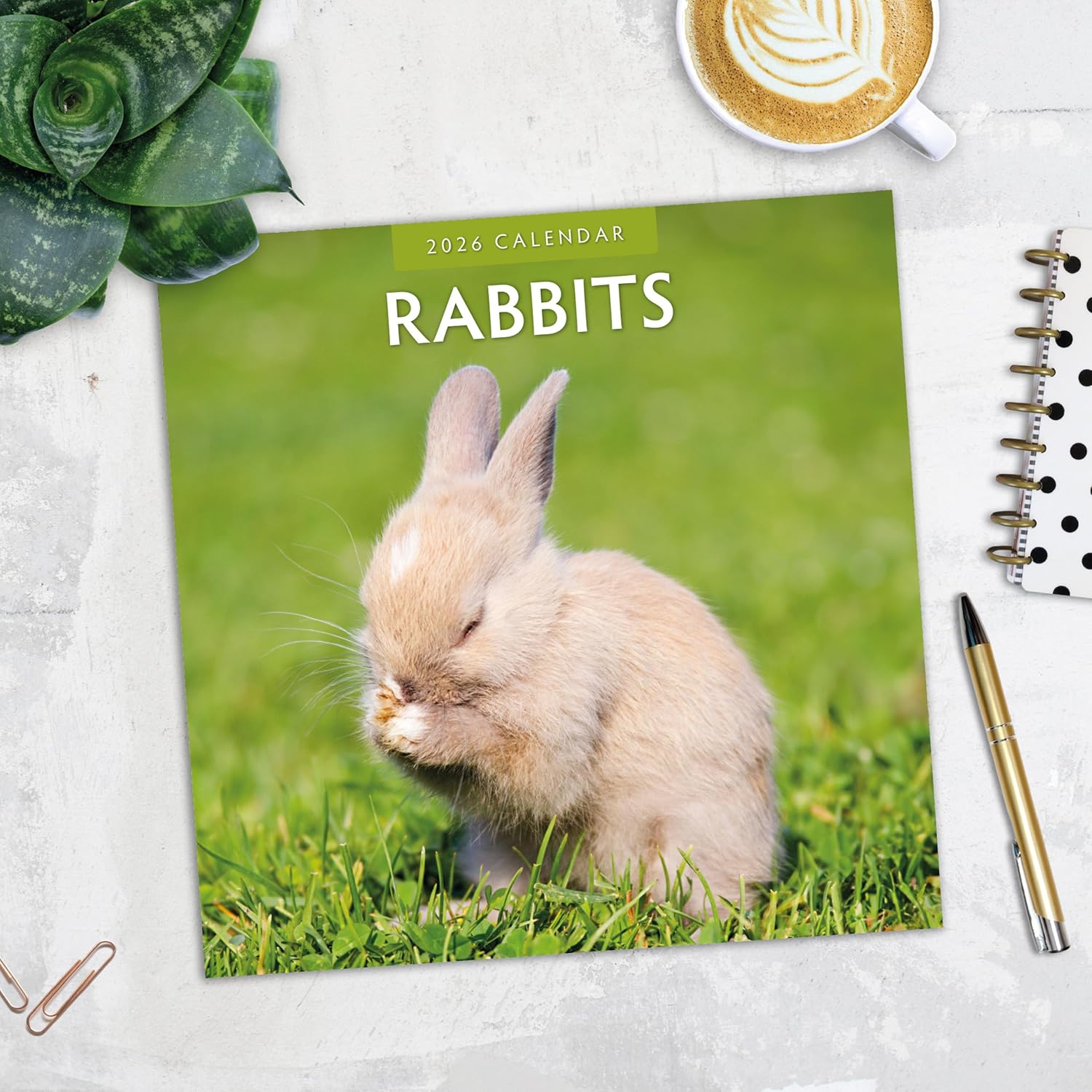 Red Robin 2026 Rabbits Monthly Wall Calendar | 12" x 24" Open | Premium Thick & Sturdy Paper | Hangable 12 Month Calendar | Lined Notes & To Do Area | Vivid Images | Plastic Free