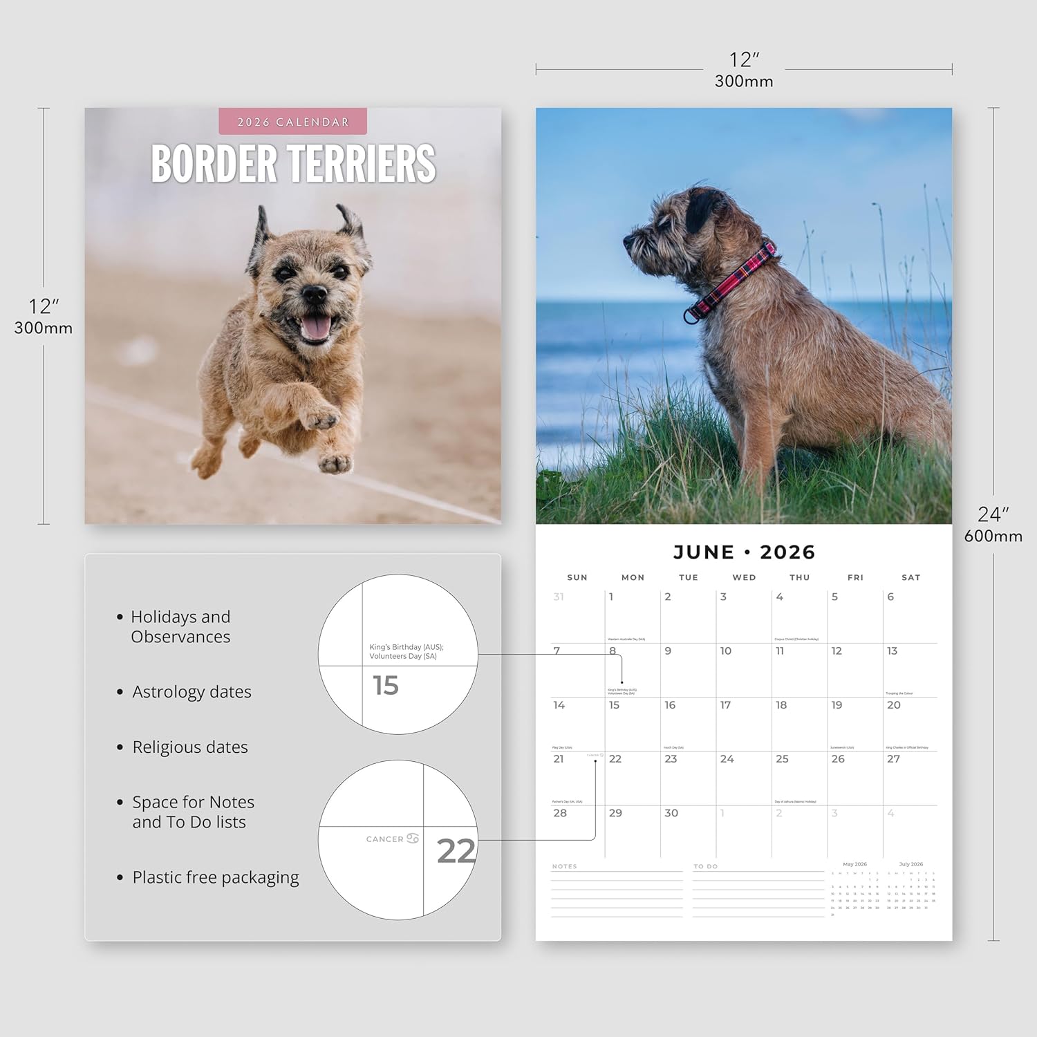 Red Robin 2026 Border Terriers Monthly Wall Calendar | 12" x 24" Open | Premium Thick & Sturdy Paper | Hangable 12 Month Calendar | Lined Notes & To Do Area | Vivid Images | Plastic Free