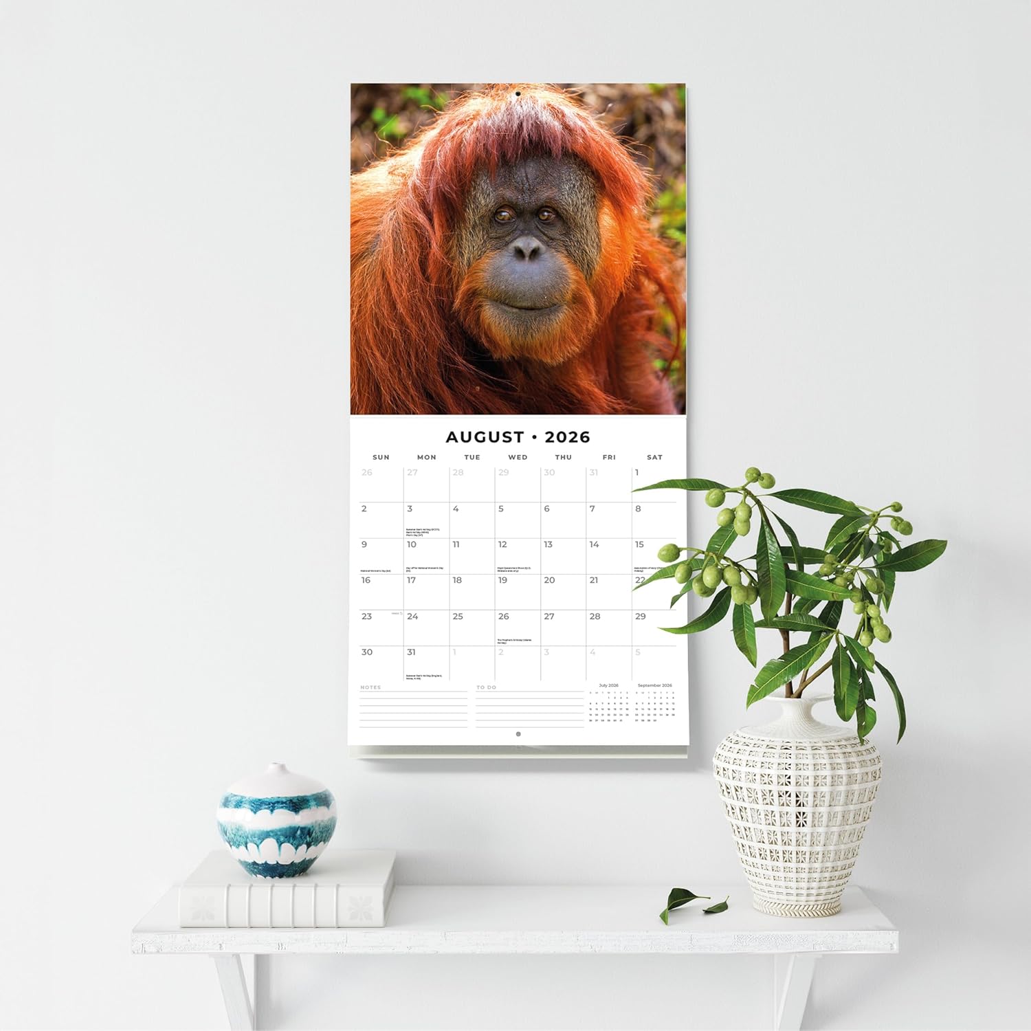 Apes - 2026 Square Wall Calendar - by Red Robin Publishing