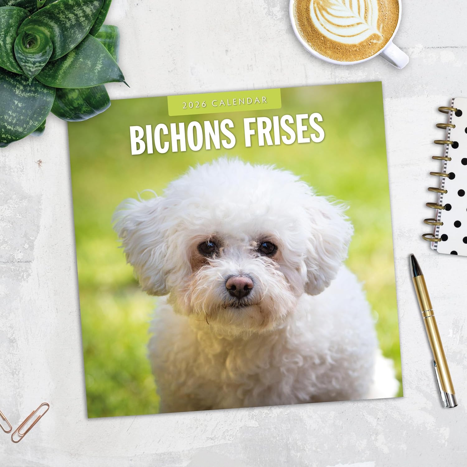 Red Robin 2026 Bichons Frises Monthly Wall Calendar | 12" x 24" Open | Premium Thick & Sturdy Paper | Hangable 12 Month Calendar | Lined Notes & To Do Area | Vivid Images | Plastic Free