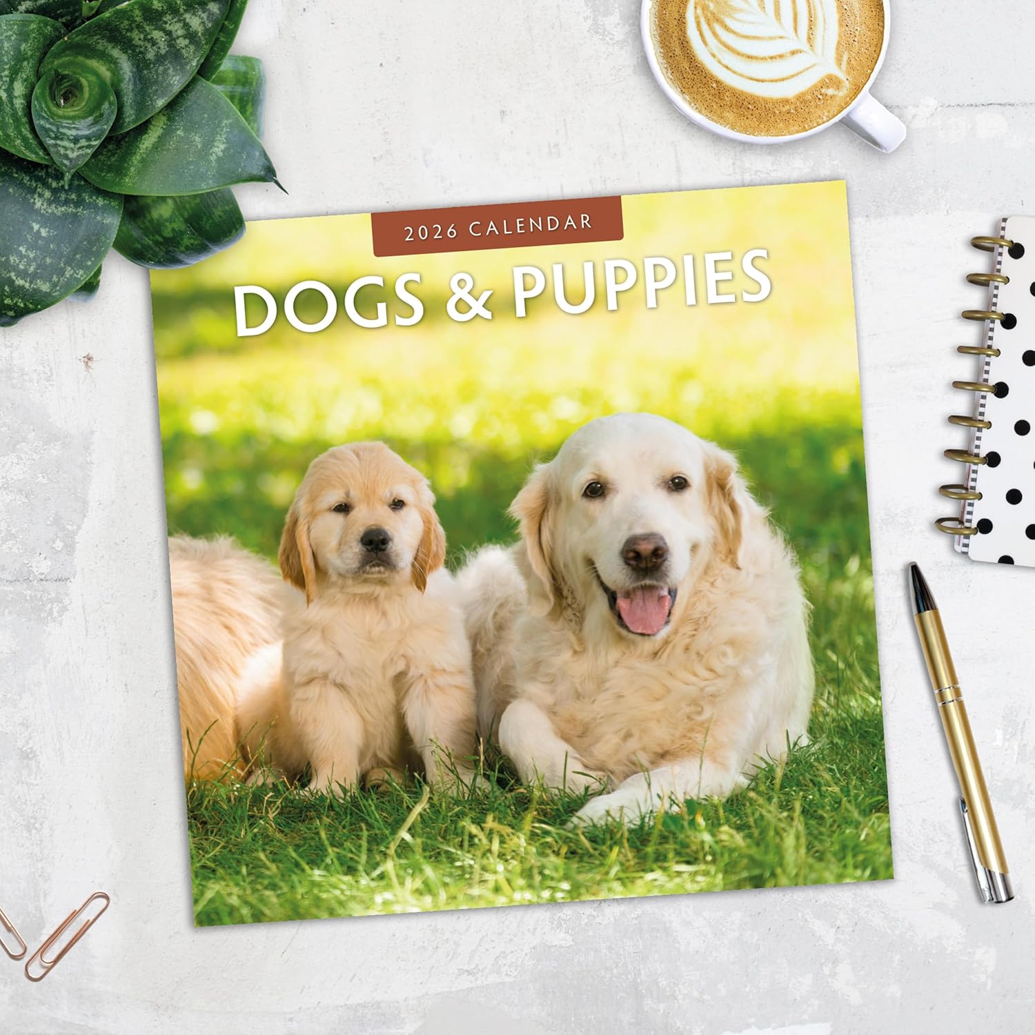 Red Robin 2026 Dogs & Puppies Monthly Wall Calendar | 12" x 24" Open | Premium Thick & Sturdy Paper | Hangable 12 Month Calendar | Lined Notes & To Do Area | Vivid Images | Plastic Free