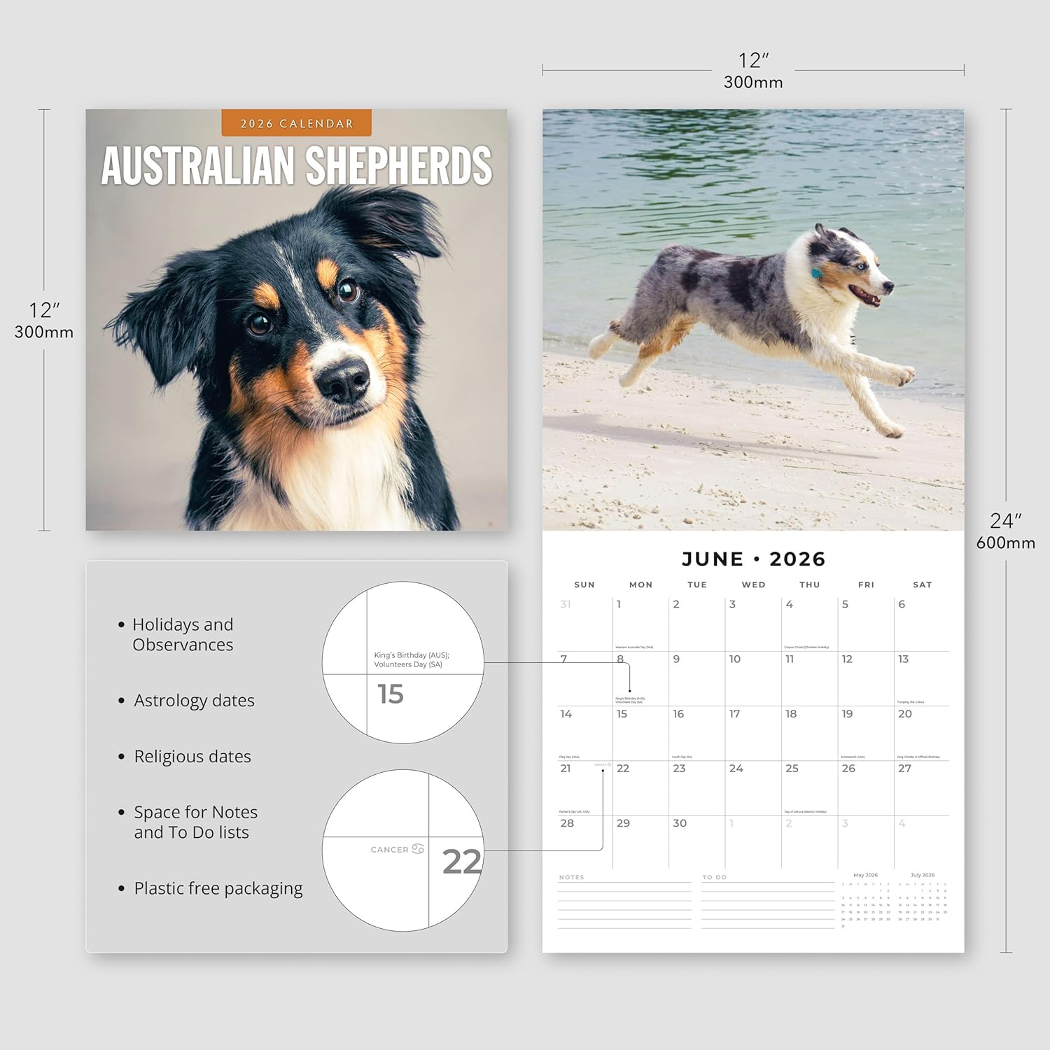 Red Robin 2026 Australian Shepherds Monthly Wall Calendar | 12" x 24" Open | Premium Thick & Sturdy Paper | Hangable 12 Month Calendar | Lined Notes & To Do Area | Vivid Images | Plastic Free