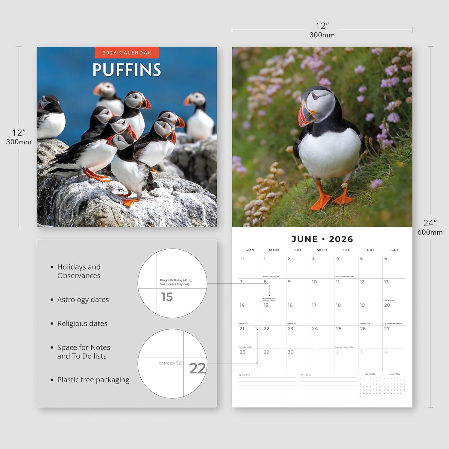 Red Robin 2026 Puffins Monthly Wall Calendar | 12" x 24" Open | Premium Thick & Sturdy Paper | Hangable 12 Month Calendar | Lined Notes & To Do Area | Vivid Images | Plastic Free