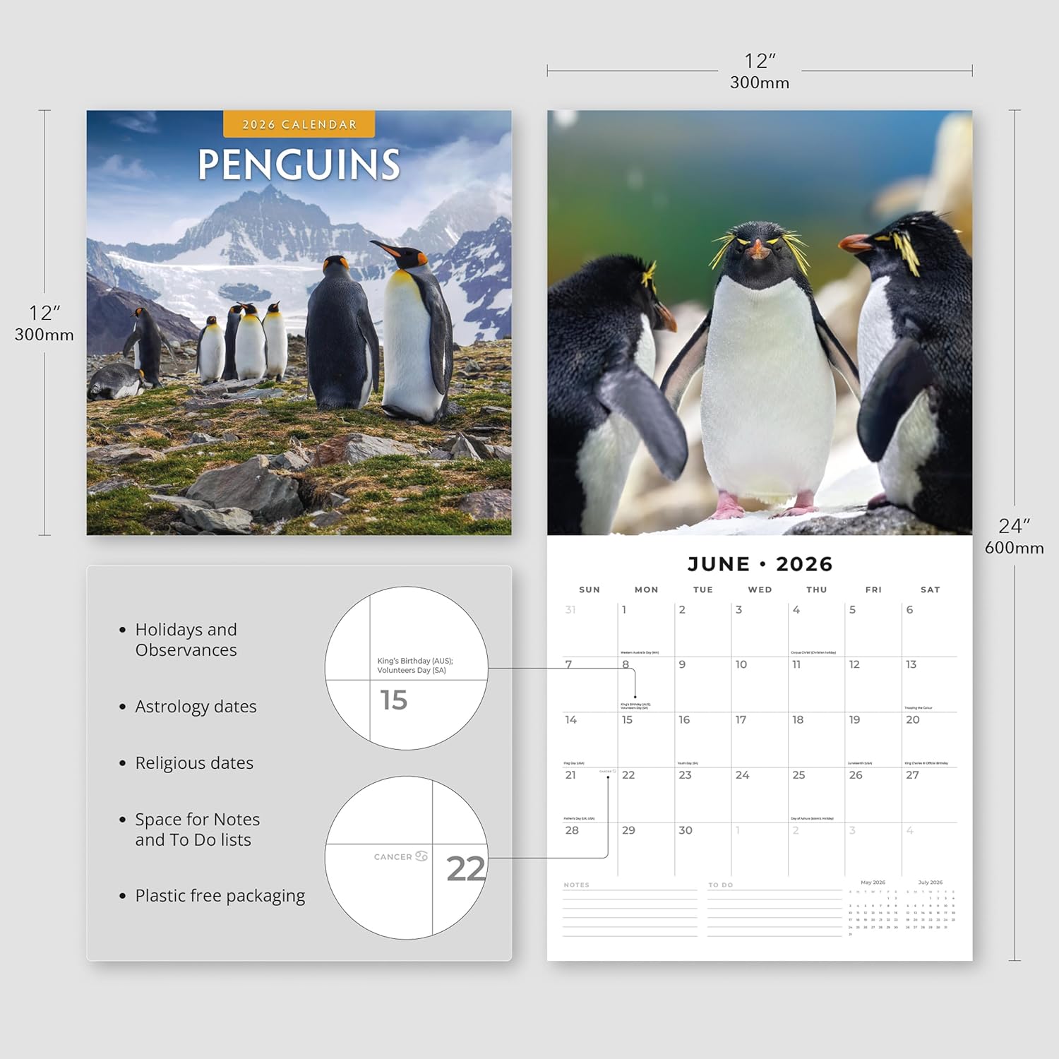 Red Robin 2026 Penguins Monthly Wall Calendar | 12" x 24" Open | Premium Thick & Sturdy Paper | Hangable 12 Month Calendar | Lined Notes & To Do Area | Vivid Images | Plastic Free