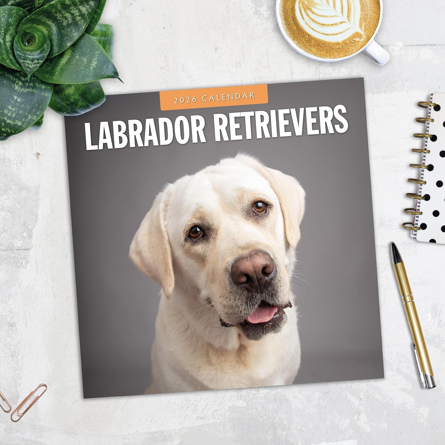 Red Robin 2026 Labrador Retrievers Monthly Wall Calendar | 12" x 24" Open | Premium Thick & Sturdy Paper | Hangable 12 Month Calendar | Lined Notes & To Do Area | Vivid Images | Plastic Free