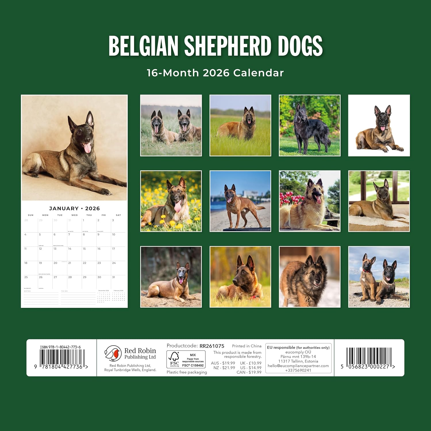 Red Robin 2026 Belgian Shepherd Dogs Monthly Wall Calendar | 12" x 24" Open | Premium Thick & Sturdy Paper | Hangable 12 Month Calendar | Lined Notes & To Do Area | Vivid Images | Plastic Free