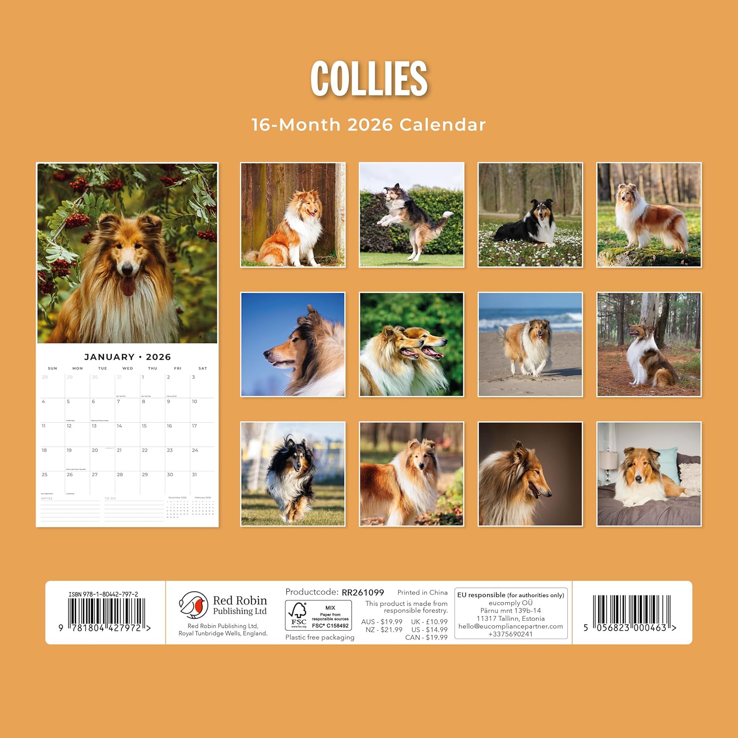 Red Robin 2026 Collies Monthly Wall Calendar | 12" x 24" Open | Premium Thick & Sturdy Paper | Hangable 12 Month Calendar | Lined Notes & To Do Area | Vivid Images | Plastic Free
