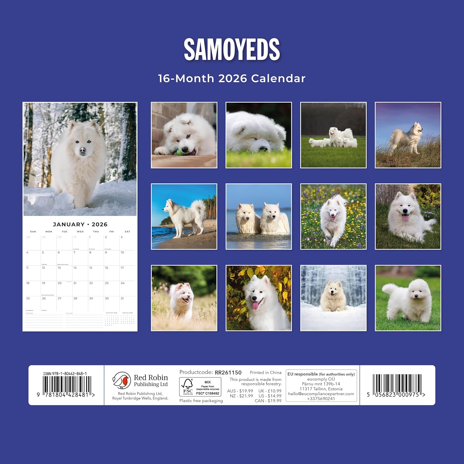 Red Robin 2026 Samoyeds Monthly Wall Calendar | 12" x 24" Open | Premium Thick & Sturdy Paper | Hangable 12 Month Calendar | Lined Notes & To Do Area | Vivid Images | Plastic Free
