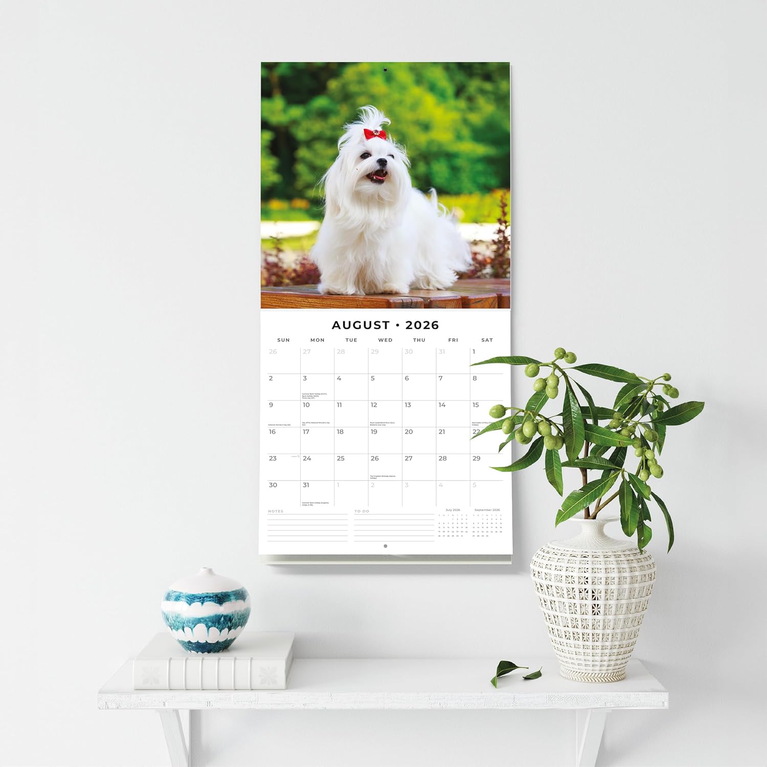Red Robin 2026 Maltese Monthly Wall Calendar | 12" x 24" Open | Premium Thick & Sturdy Paper | Hangable 12 Month Calendar | Lined Notes & To Do Area | Vivid Images | Plastic Free