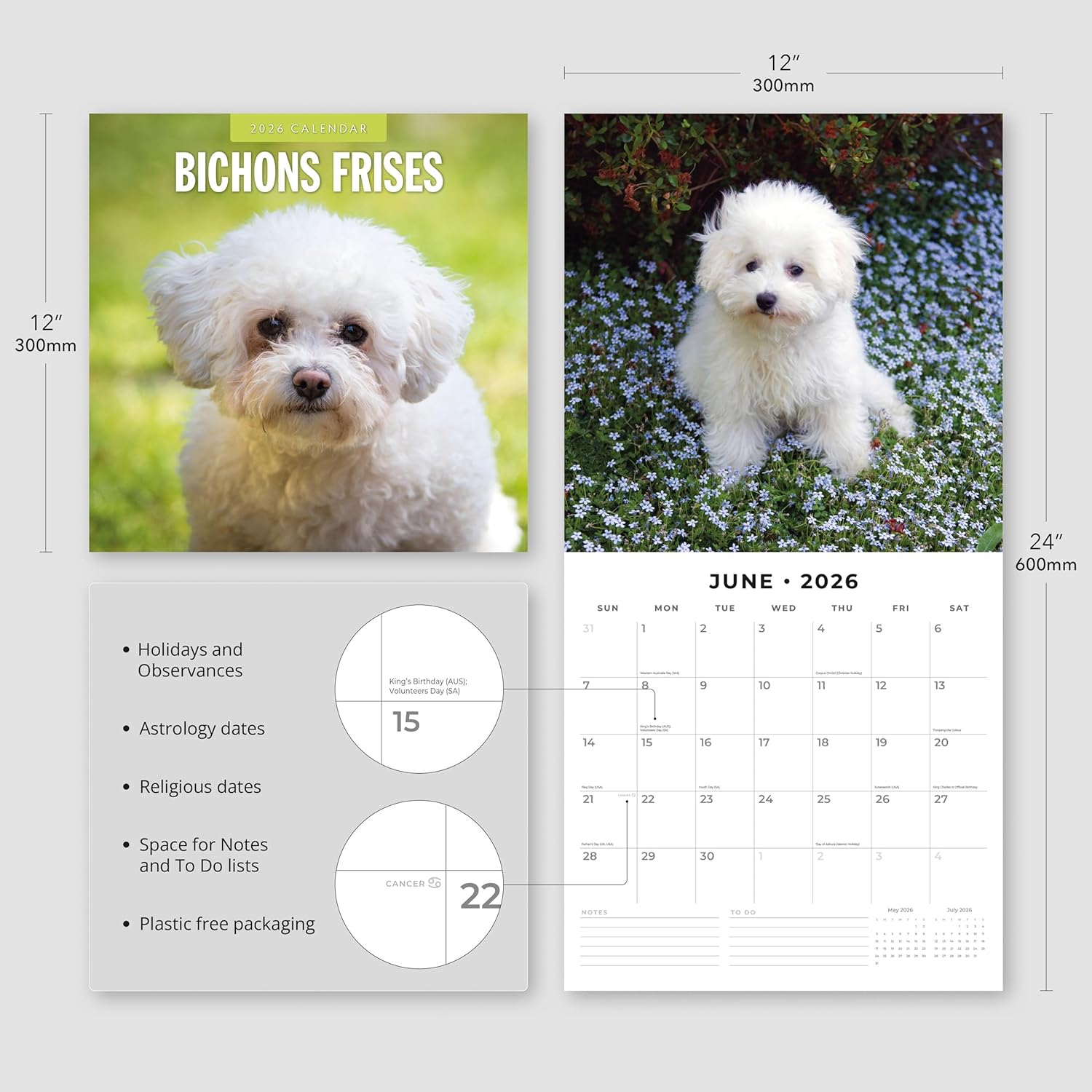 Red Robin 2026 Bichons Frises Monthly Wall Calendar | 12" x 24" Open | Premium Thick & Sturdy Paper | Hangable 12 Month Calendar | Lined Notes & To Do Area | Vivid Images | Plastic Free