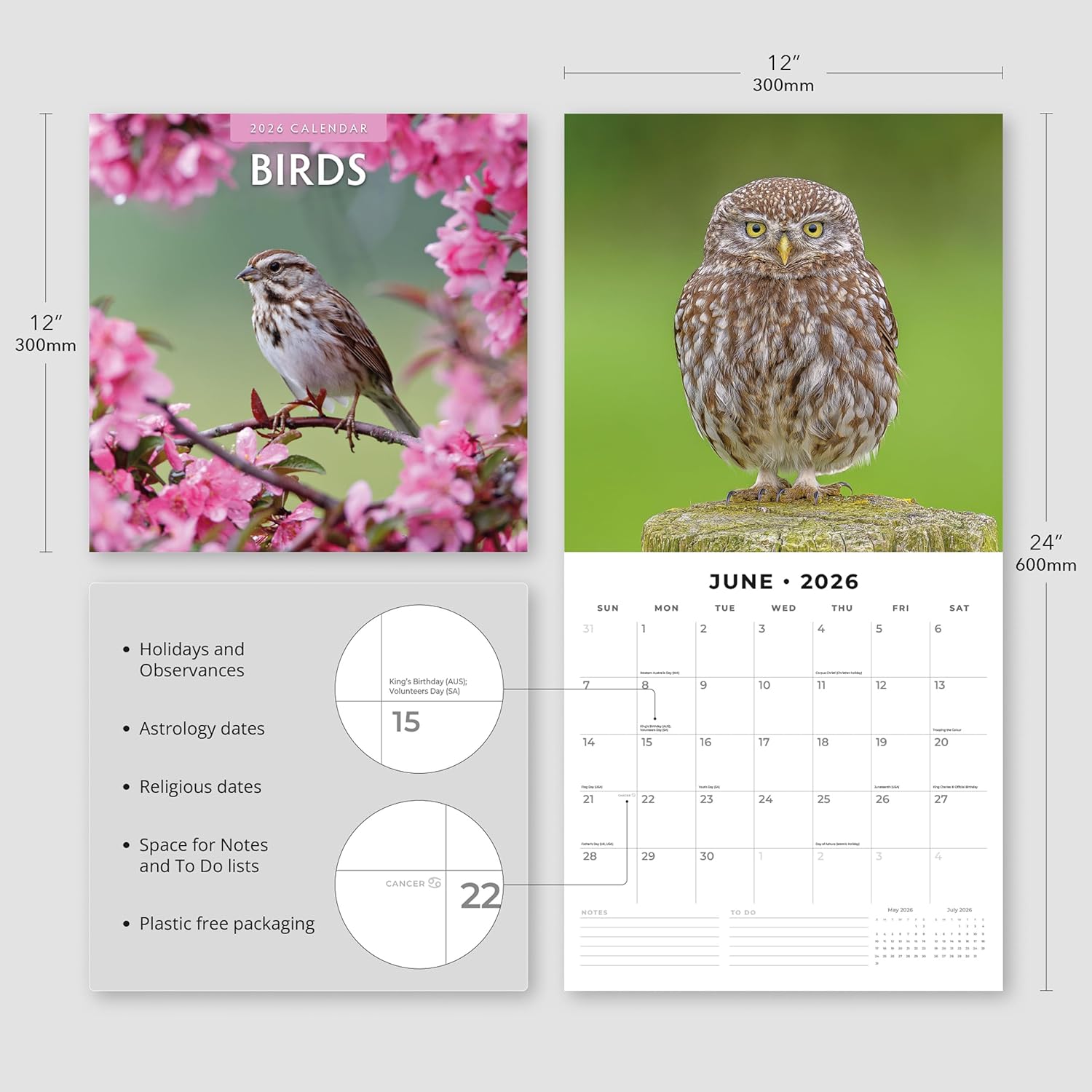 Birds - 2026 Square Wall Calendar - by Red Robin Publishing