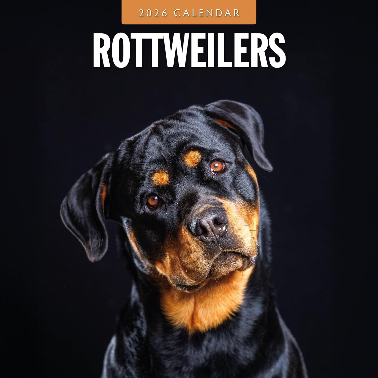 Red Robin 2026 Rottweilers Monthly Wall Calendar | 12" x 24" Open | Premium Thick & Sturdy Paper | Hangable 12 Month Calendar | Lined Notes & To Do Area | Vivid Images | Plastic Free