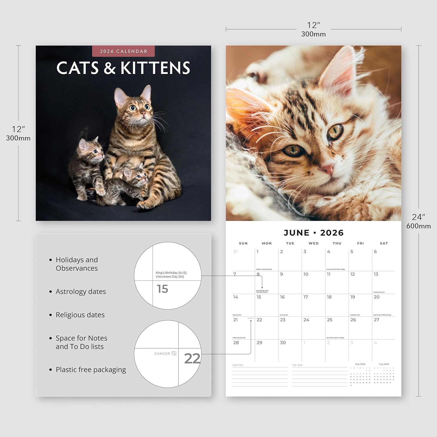 Red Robin 2026 Cats & Kittens Monthly Wall Calendar | 12" x 24" Open | Premium Thick & Sturdy Paper | Hangable 12 Month Calendar | Lined Notes & To Do Area | Vivid Images | Plastic Free