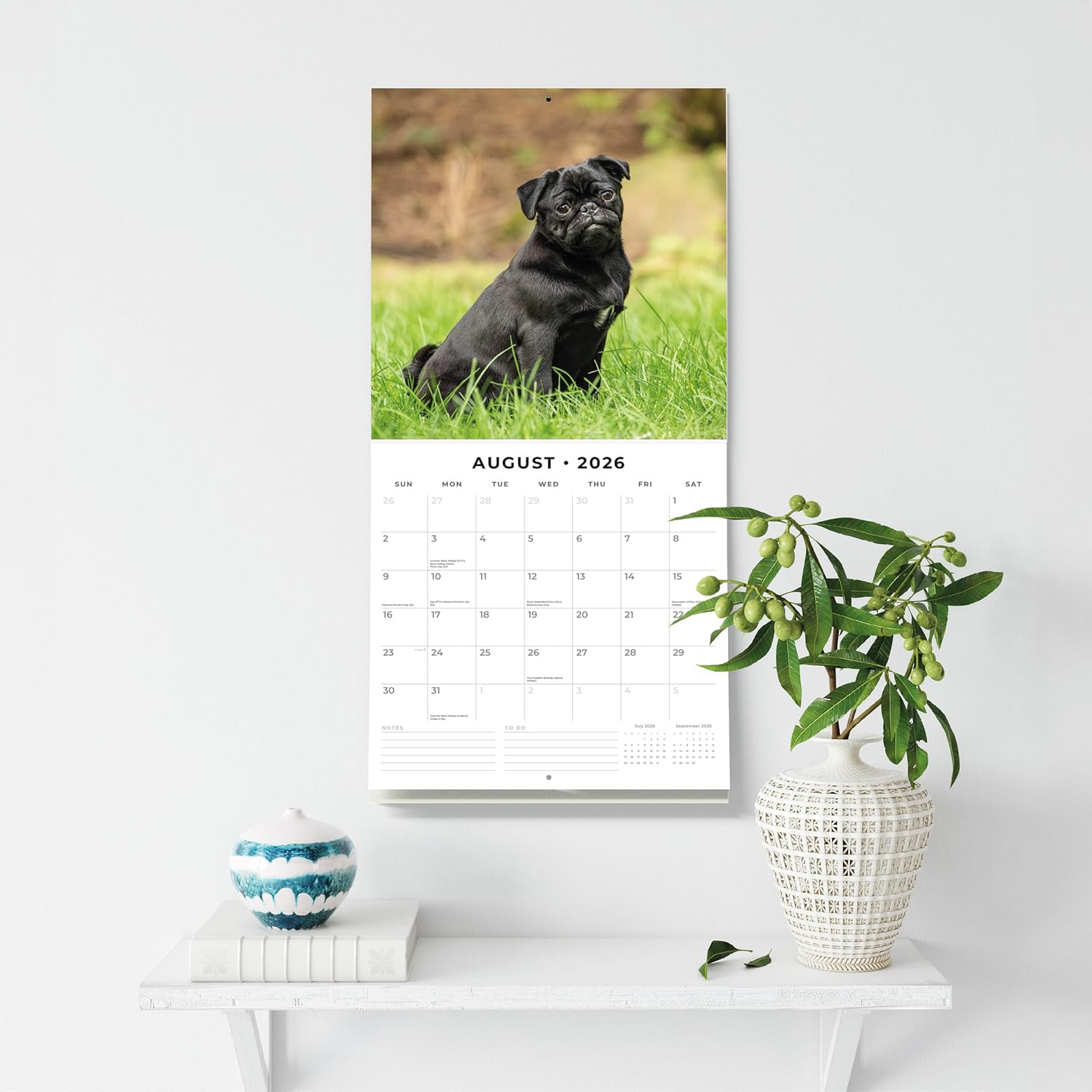 Red Robin 2026 Pugs Monthly Wall Calendar | 12" x 24" Open | Premium Thick & Sturdy Paper | Hangable 12 Month Calendar | Lined Notes & To Do Area | Vivid Images | Plastic Free