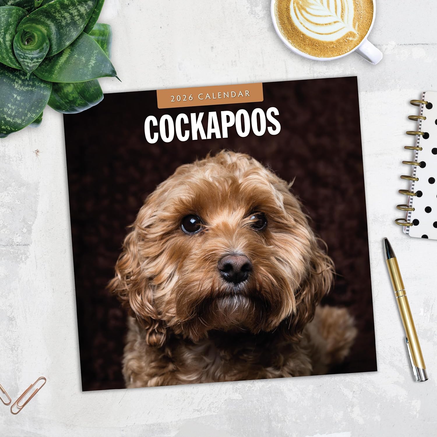 Red Robin 2026 Cockapoos Monthly Wall Calendar | 12" x 24" Open | Premium Thick & Sturdy Paper | Hangable 12 Month Calendar | Lined Notes & To Do Area | Vivid Images | Plastic Free