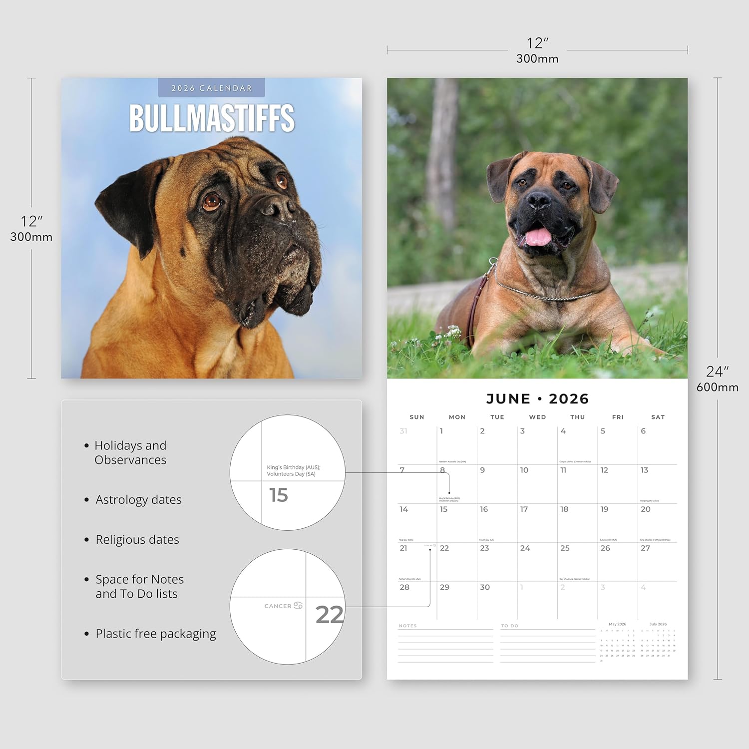 Red Robin 2026 Bullmastiffs Monthly Wall Calendar | 12" x 24" Open | Premium Thick & Sturdy Paper | Hangable 12 Month Calendar | Lined Notes & To Do Area | Vivid Images | Plastic Free