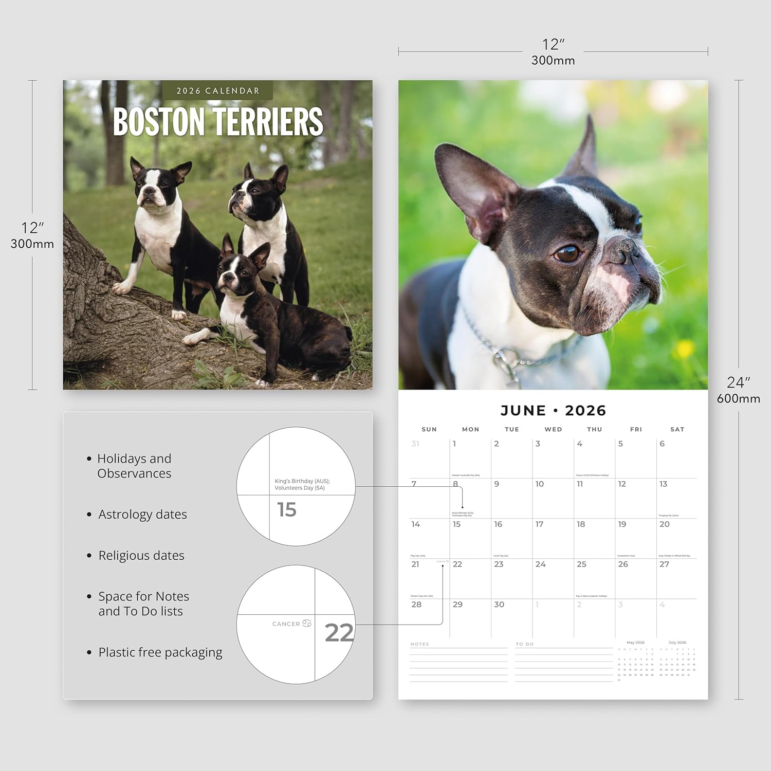 Red Robin 2026 Boston Terriers Monthly Wall Calendar | 12" x 24" Open | Premium Thick & Sturdy Paper | Hangable 12 Month Calendar | Lined Notes & To Do Area | Vivid Images | Plastic Free