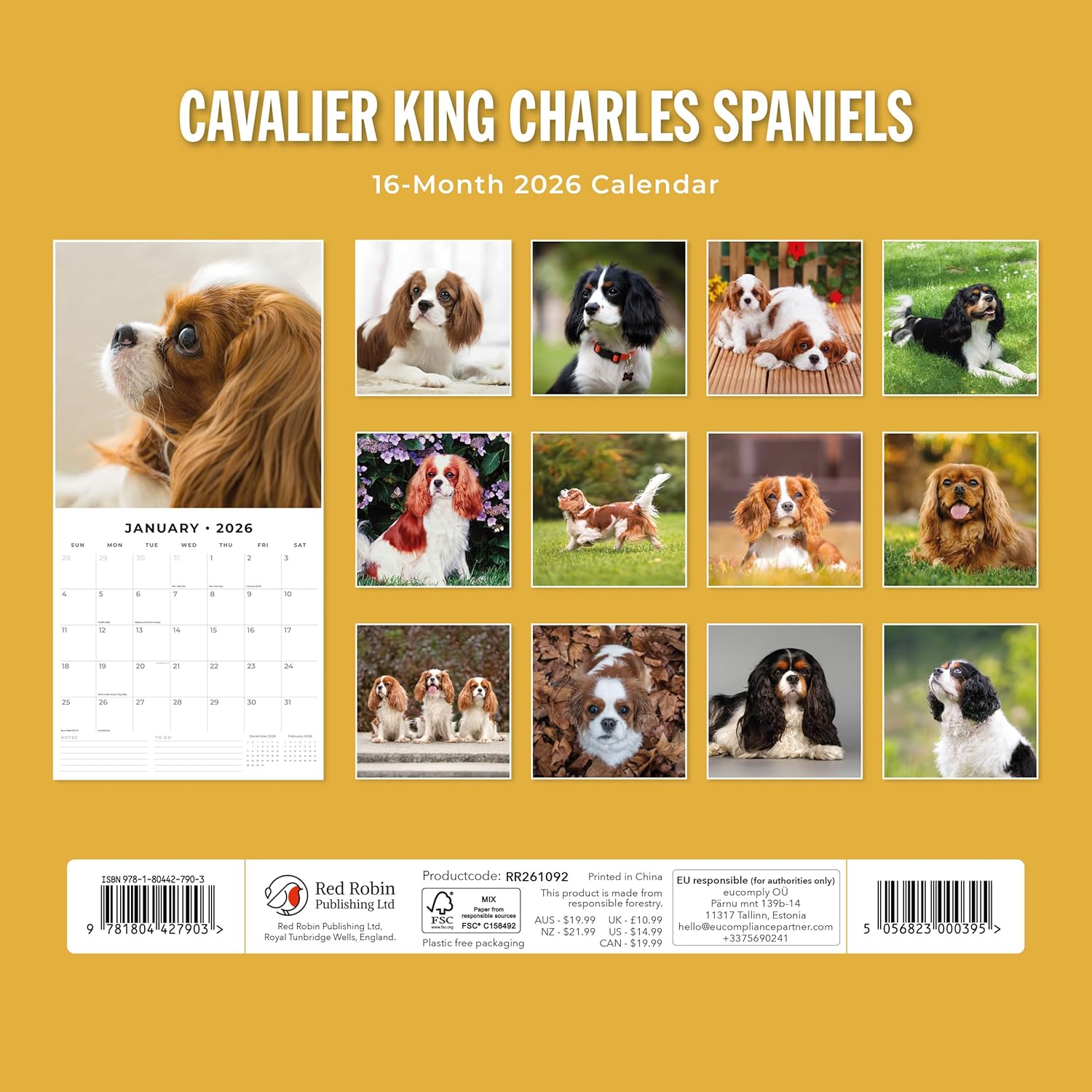 Red Robin 2026 Cavalier King Charles Spaniels Monthly Wall Calendar | 12" x 24" Open | Premium Thick & Sturdy Paper | Hangable 12 Month Calendar | Lined Notes & To Do Area | Plastic Free
