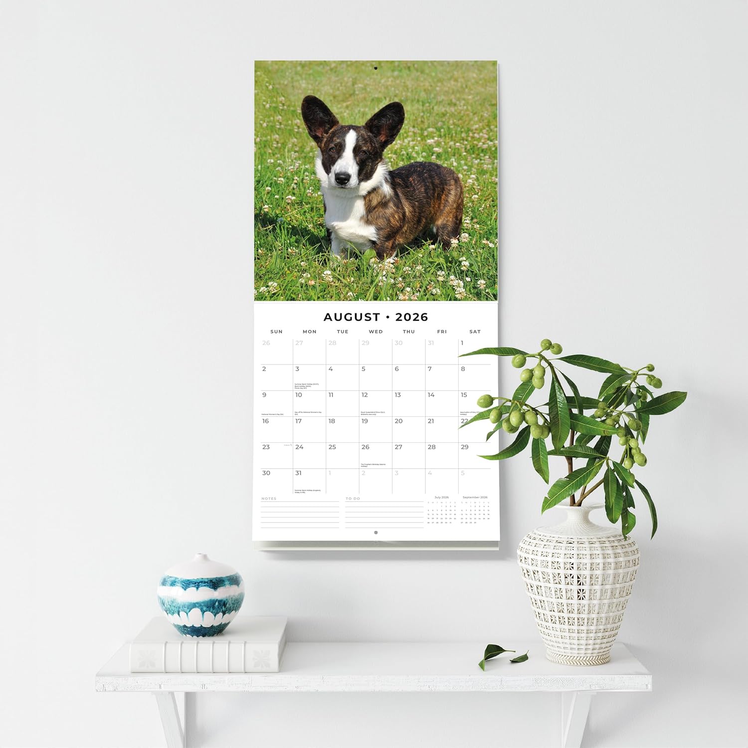 Red Robin 2026 Welsh Corgis Monthly Wall Calendar | 12" x 24" Open | Premium Thick & Sturdy Paper | Hangable 12 Month Calendar | Lined Notes & To Do Area | Vivid Images | Plastic Free