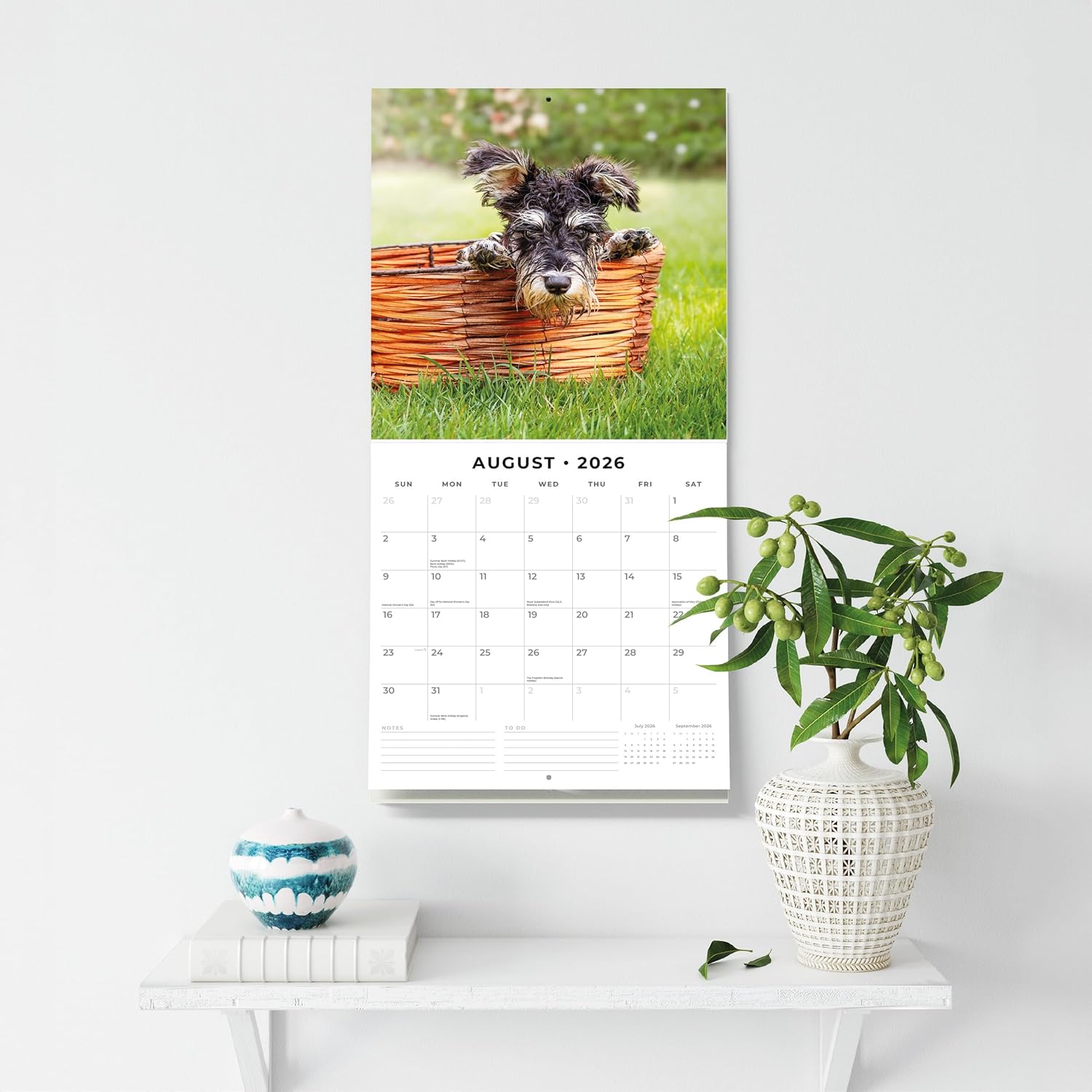 Red Robin 2026 Miniature Schnauzers Monthly Wall Calendar | 12" x 24" Open | Premium Thick & Sturdy Paper | Hangable 12 Month Calendar | Lined Notes & To Do Area | Vivid Images | Plastic Free