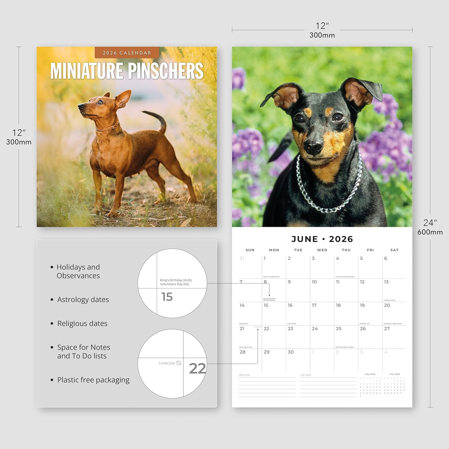 Red Robin 2026 Miniature Pinschers Monthly Wall Calendar | 12" x 24" Open | Premium Thick & Sturdy Paper | Hangable 12 Month Calendar | Lined Notes & To Do Area | Vivid Images | Plastic Free