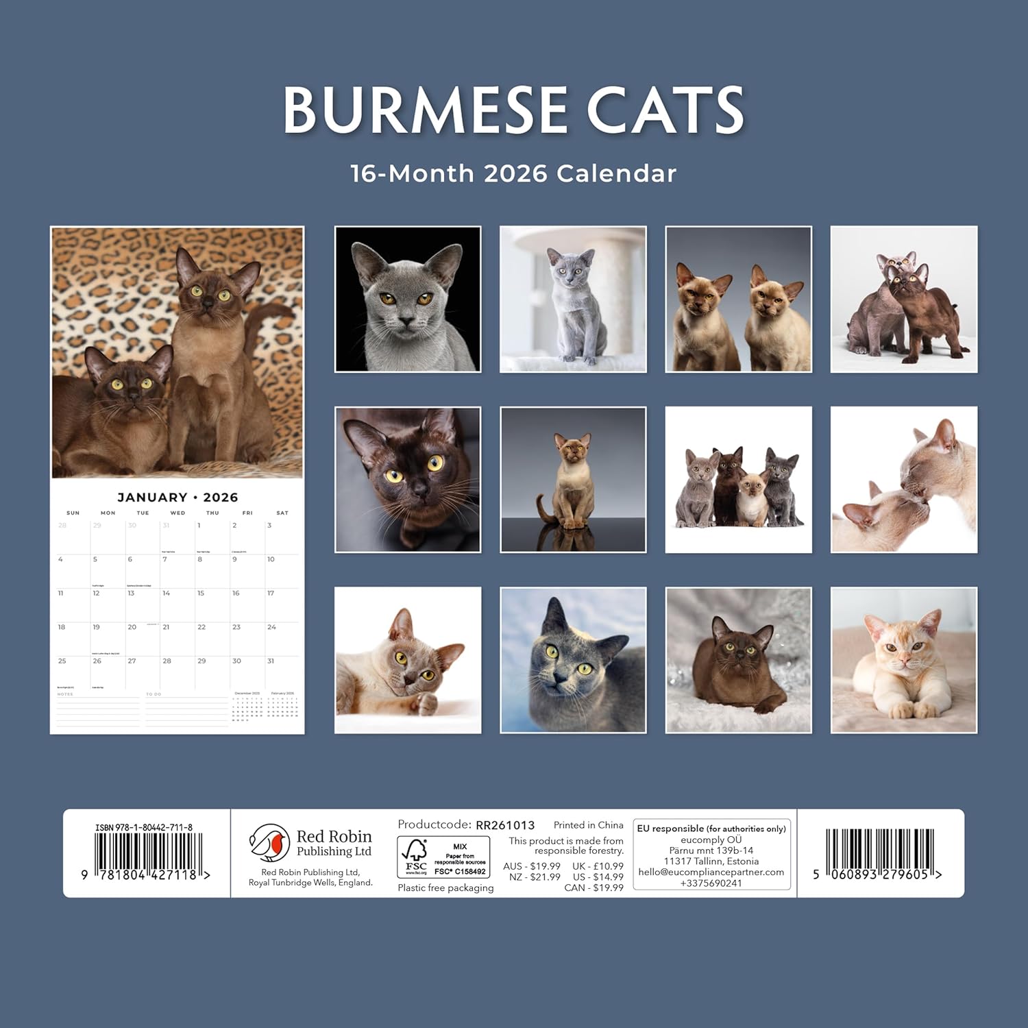 Burmese Cats - 2026 Square Wall Calendar - by Red Robin Publishing