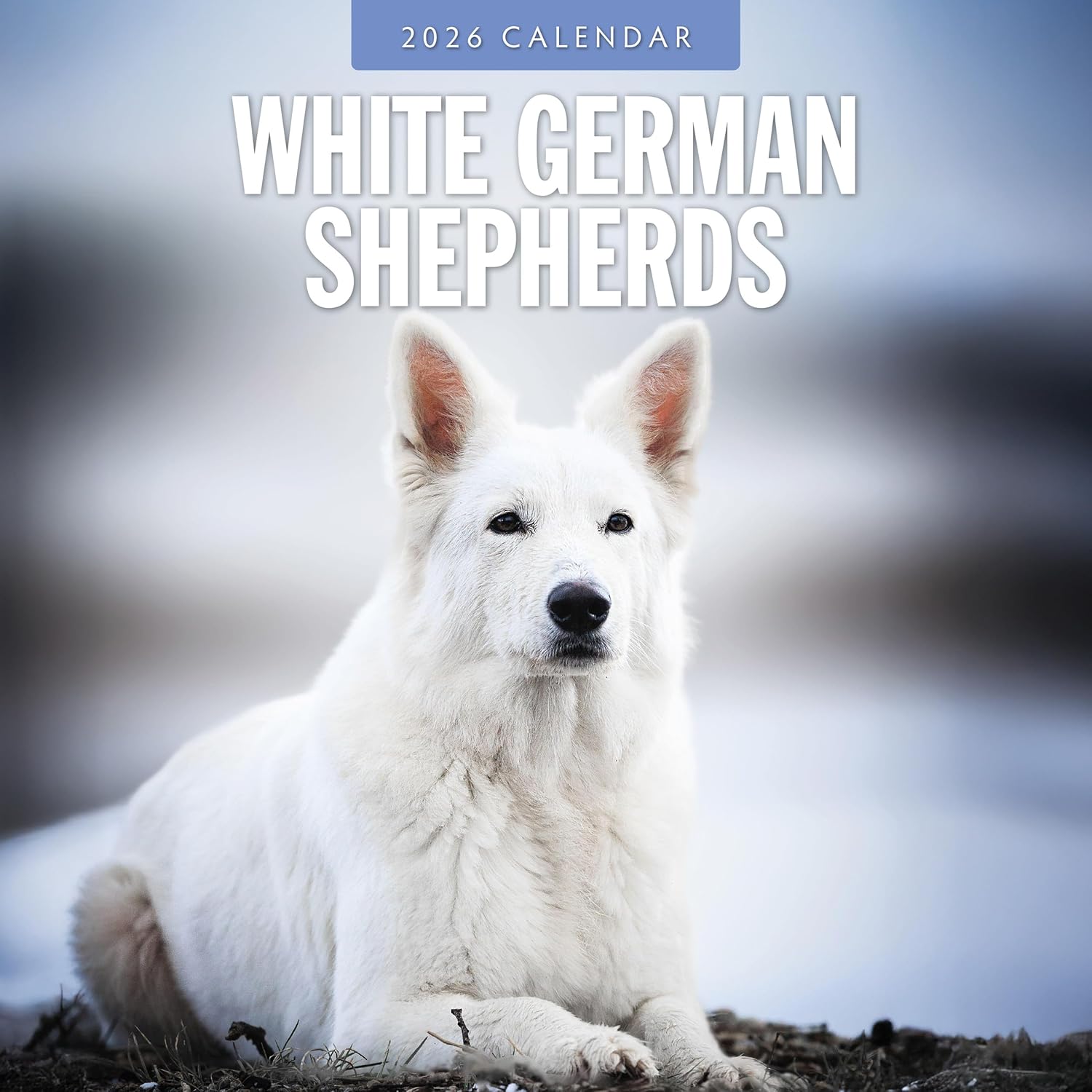 Red Robin 2026 White German Shepherds Monthly Wall Calendar | 12" x 24" Open | Premium Thick & Sturdy Paper | Hangable 12 Month Calendar | Lined Notes & To Do Area | Vivid Images | Plastic Free