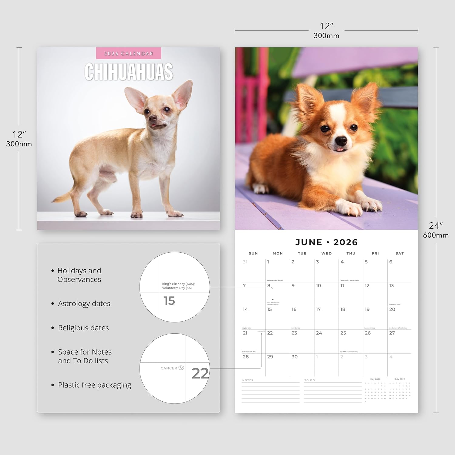Red Robin 2026 Chihuahuas Monthly Wall Calendar | 12" x 24" Open | Premium Thick & Sturdy Paper | Hangable 12 Month Calendar | Lined Notes & To Do Area | Vivid Images | Plastic Free