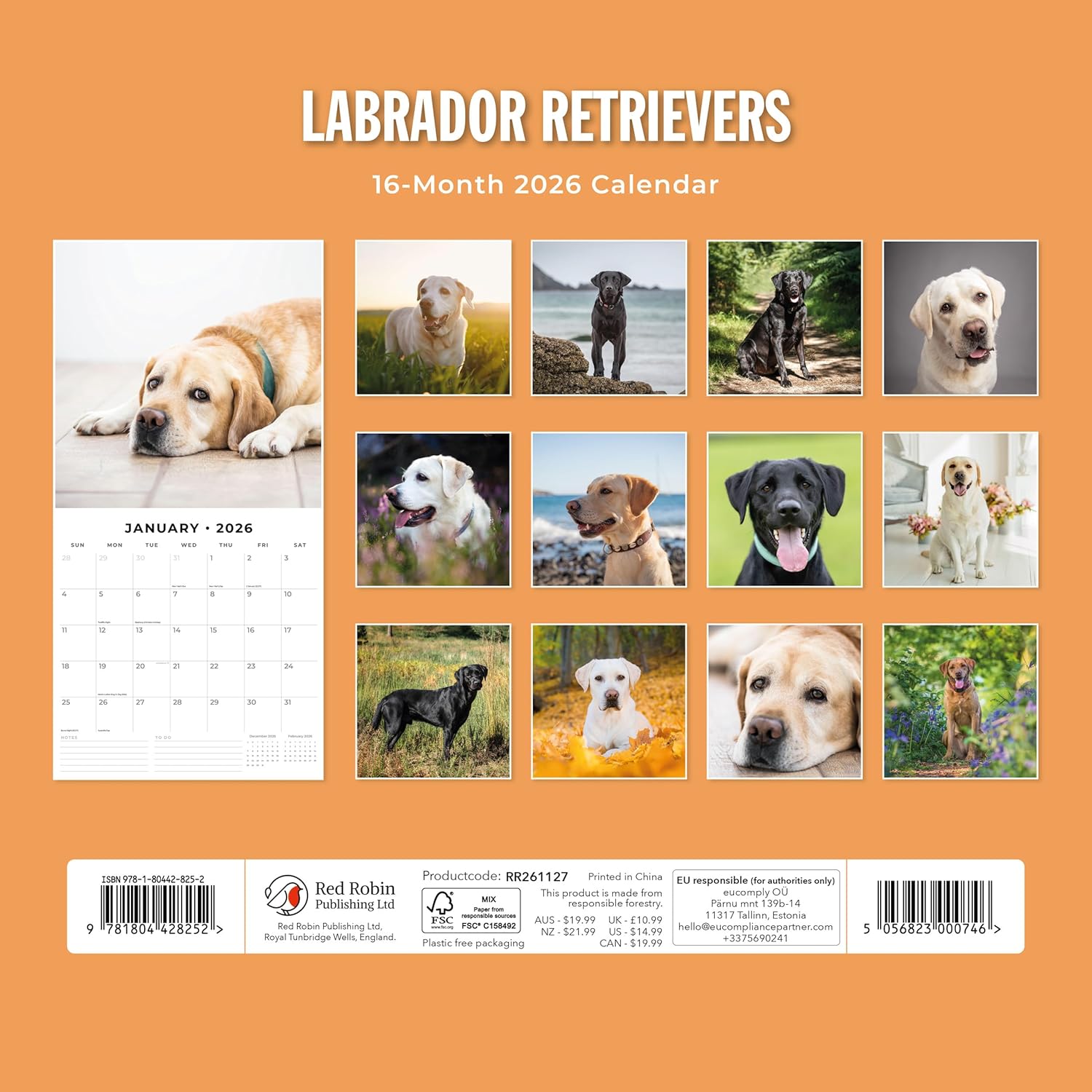 Red Robin 2026 Labrador Retrievers Monthly Wall Calendar | 12" x 24" Open | Premium Thick & Sturdy Paper | Hangable 12 Month Calendar | Lined Notes & To Do Area | Vivid Images | Plastic Free
