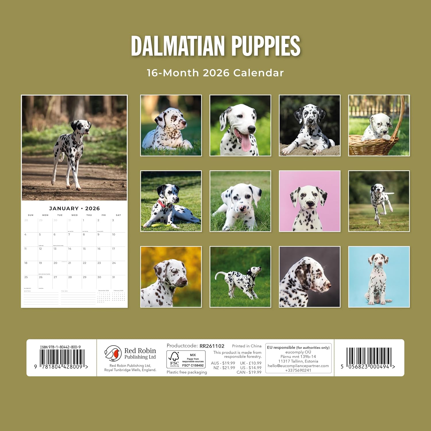 Red Robin 2026 Dalmatian Puppies Monthly Wall Calendar | 12" x 24" Open | Premium Thick & Sturdy Paper | Hangable 12 Month Calendar | Lined Notes & To Do Area | Vivid Images | Plastic Free