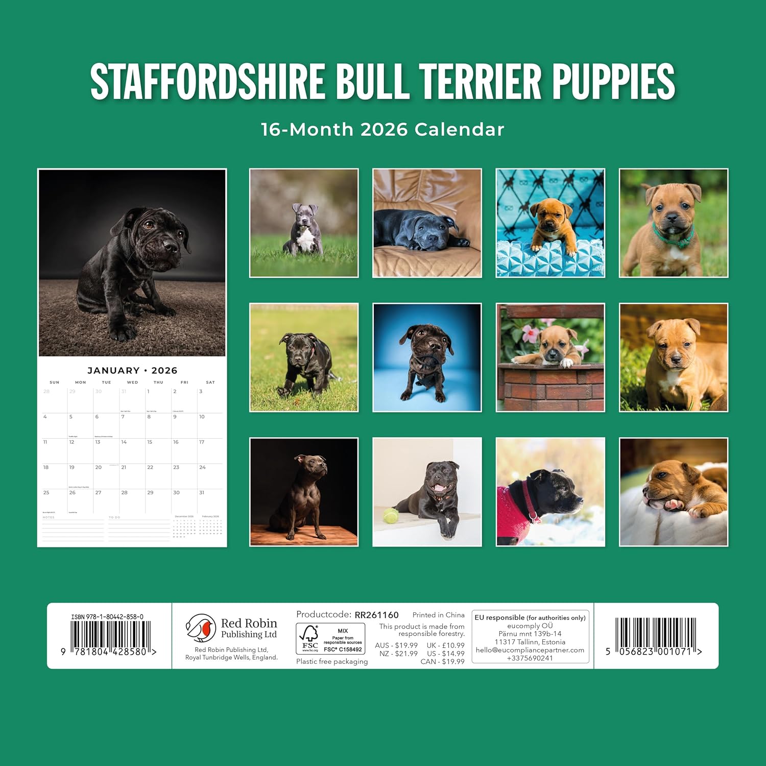 Red Robin 2026 Staffordshire Bull Terrier Puppies Monthly Wall Calendar | 12" x 24" Open | Premium Thick & Sturdy Paper | Hangable 12 Month Calendar | Lined Notes & To Do Area | Plastic Free