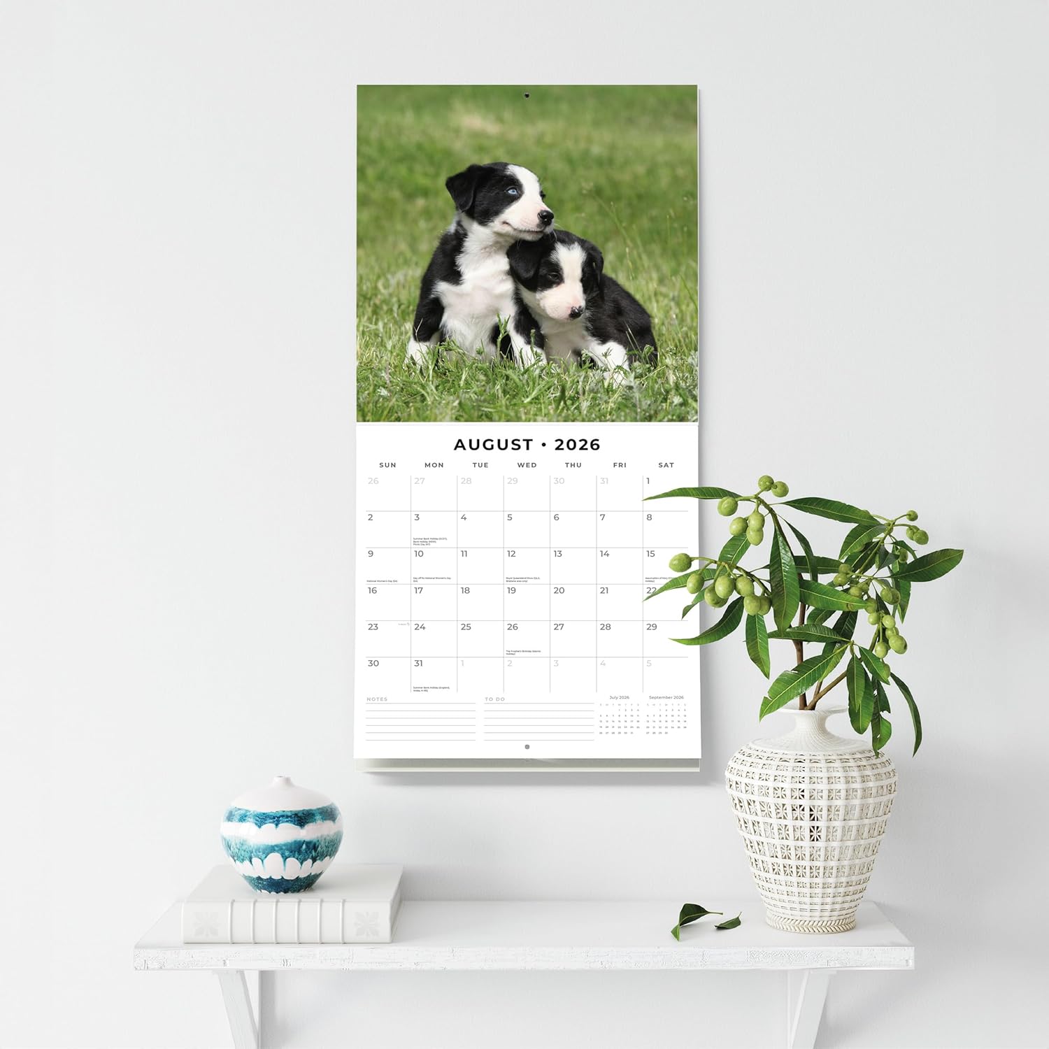 Red Robin 2026 Border Collie Puppies Monthly Wall Calendar | 12" x 24" Open | Premium Thick & Sturdy Paper | Hangable 12 Month Calendar | Lined Notes & To Do Area | Vivid Images | Plastic Free